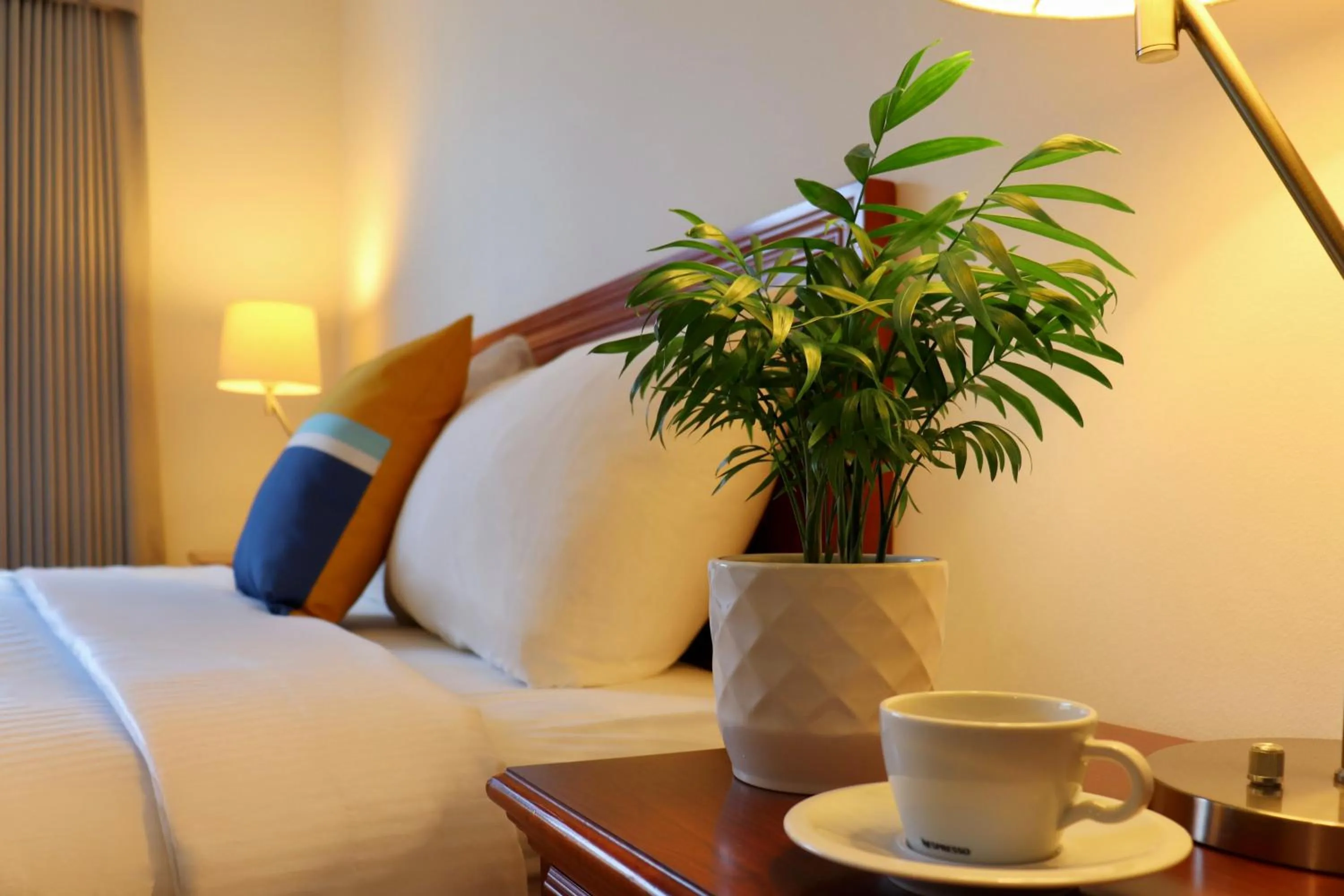 Bed in August Jack Inn