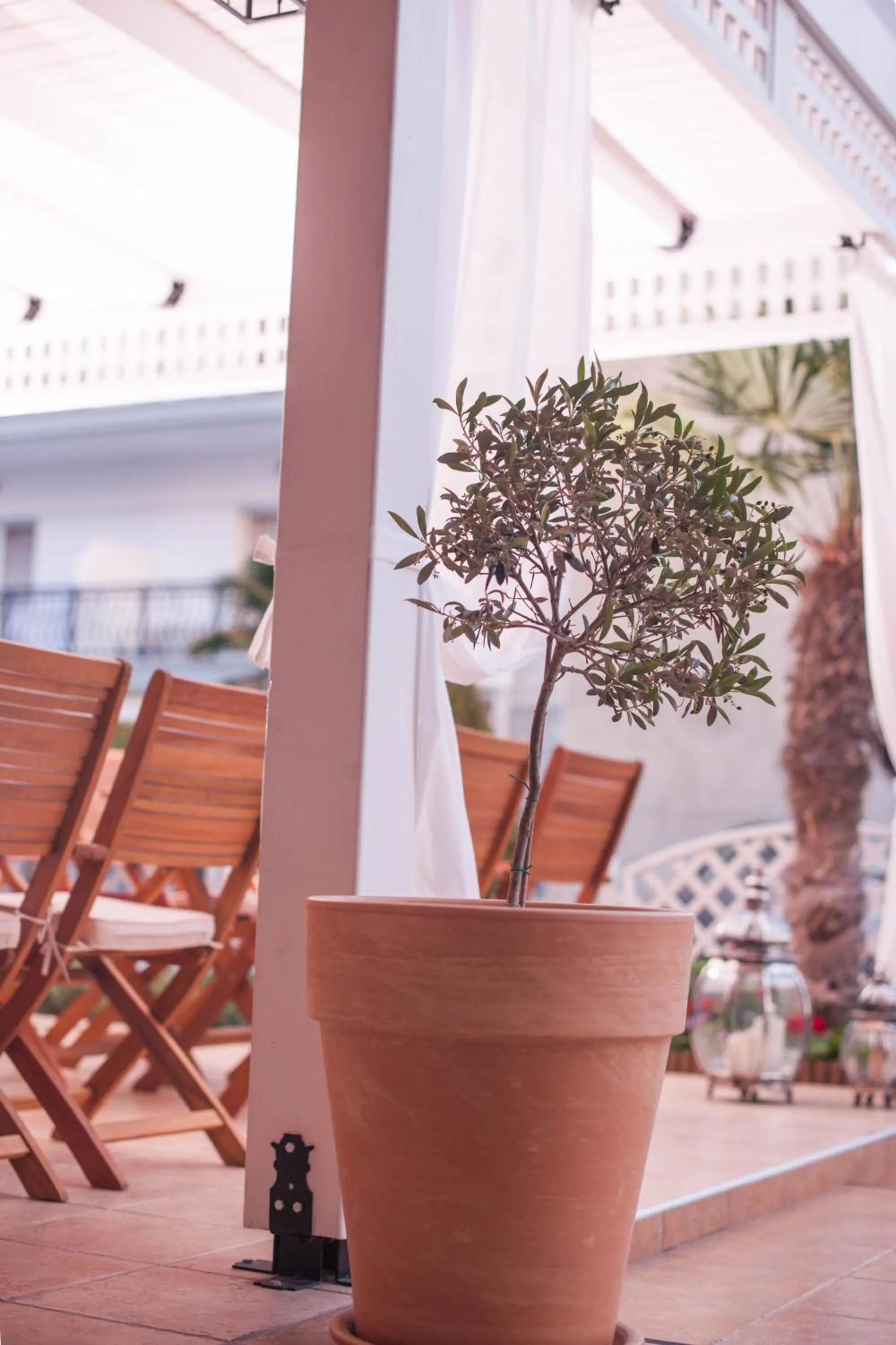 Patio in Hotel Vizantio