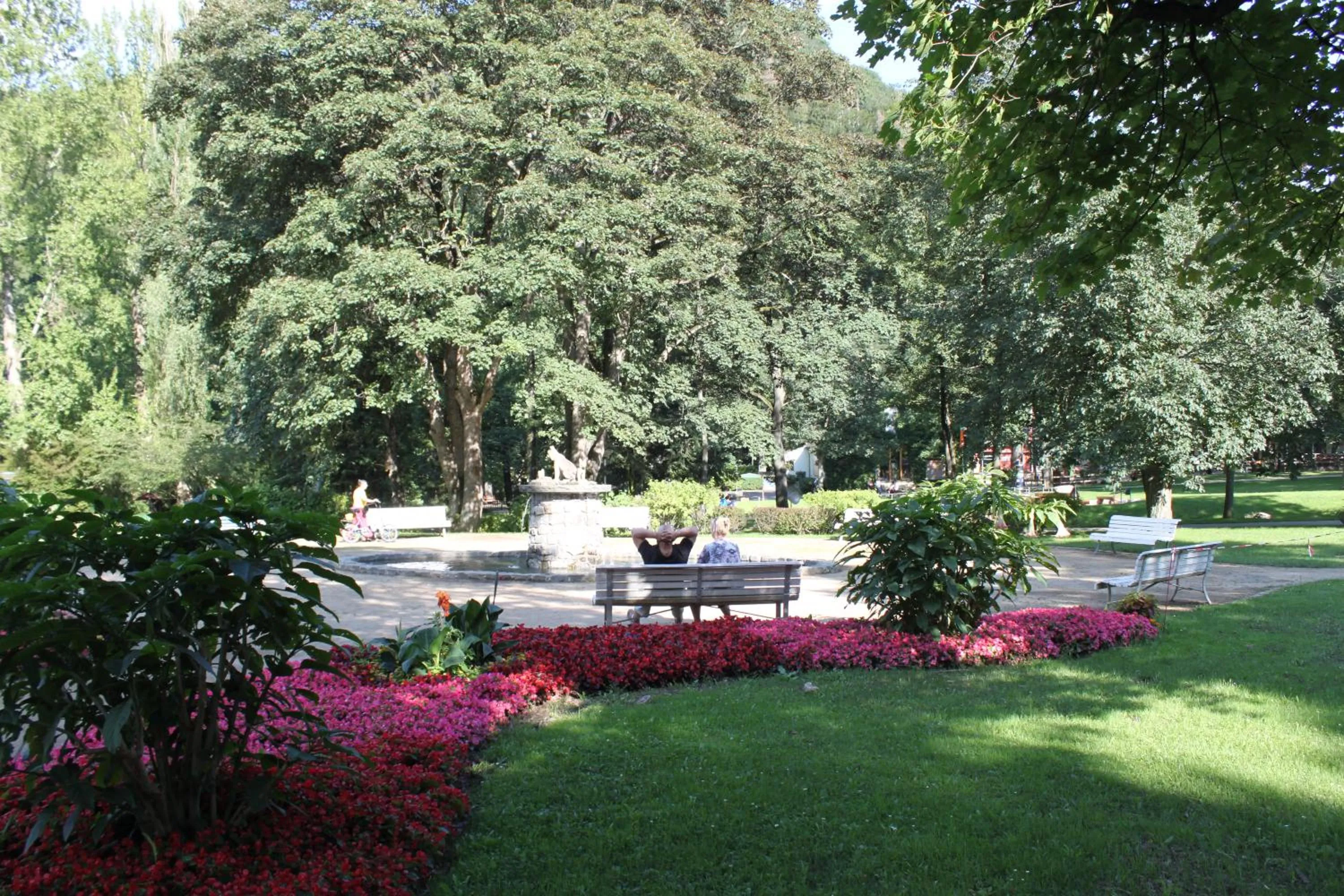 Natural landscape in Stadtparkhotel Alexandra