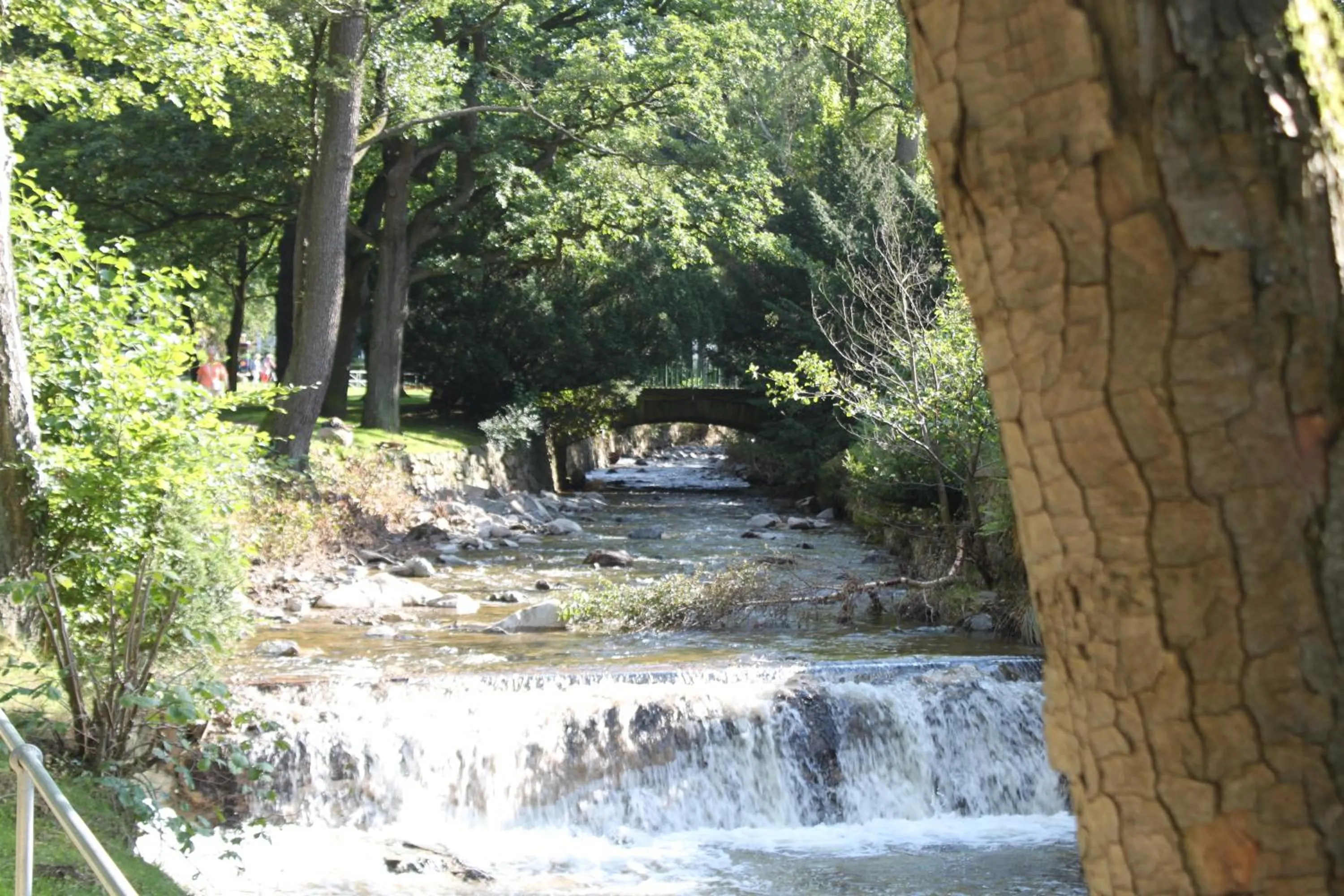 Natural landscape in Stadtparkhotel Alexandra