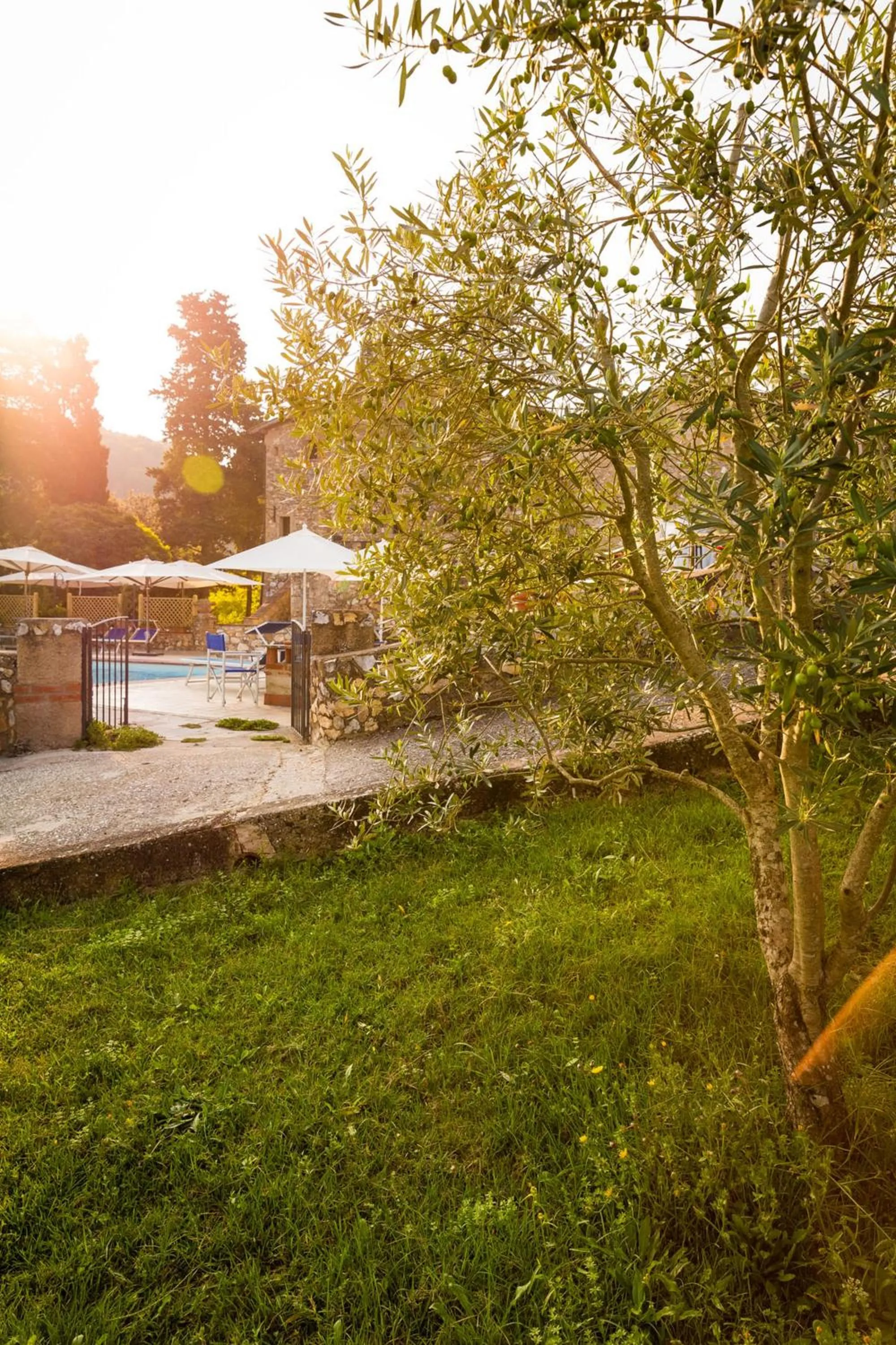 Garden in Borgo Il Poggiaccio Residenza Turistico Alberghiera