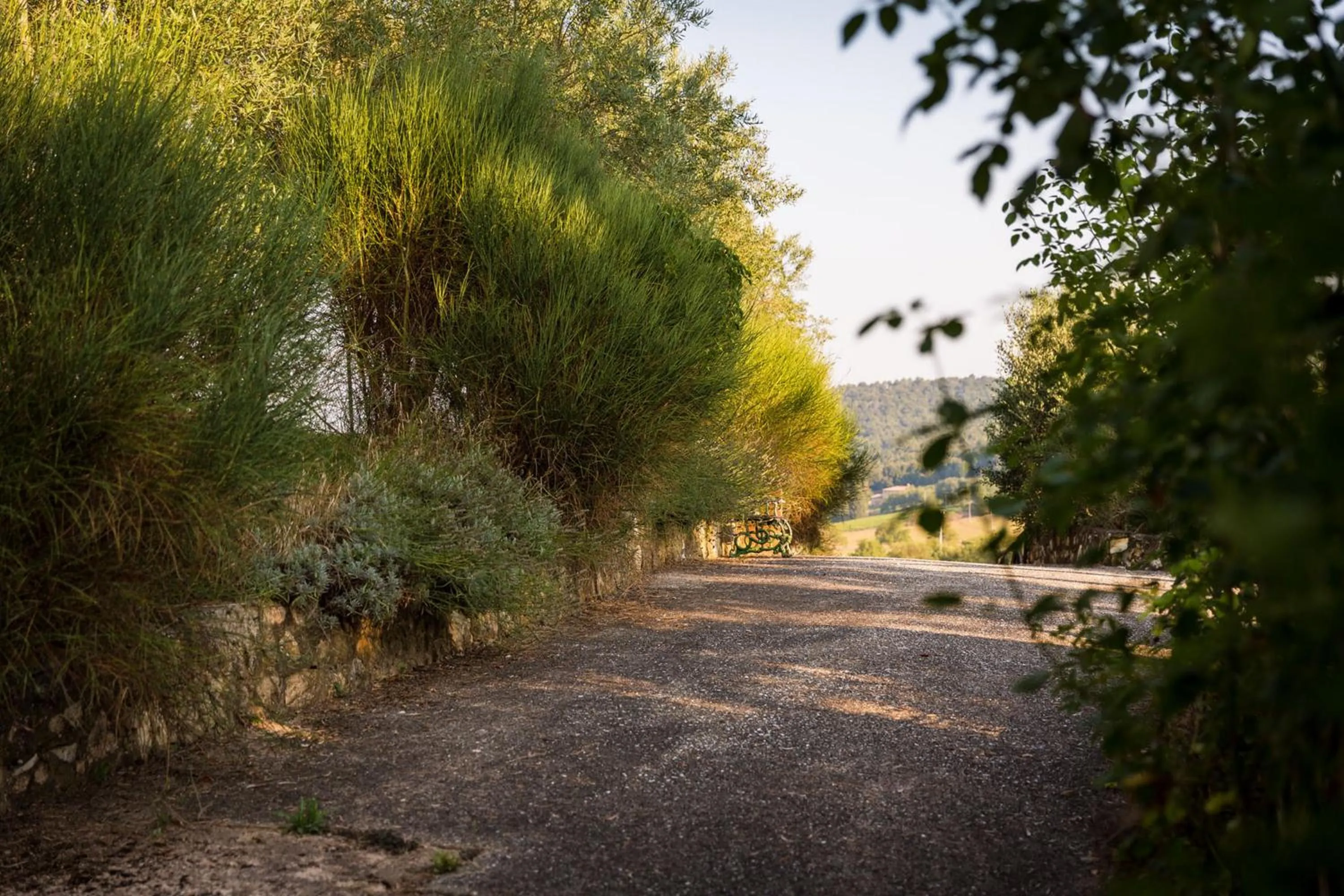 Garden in Borgo Il Poggiaccio Residenza Turistico Alberghiera