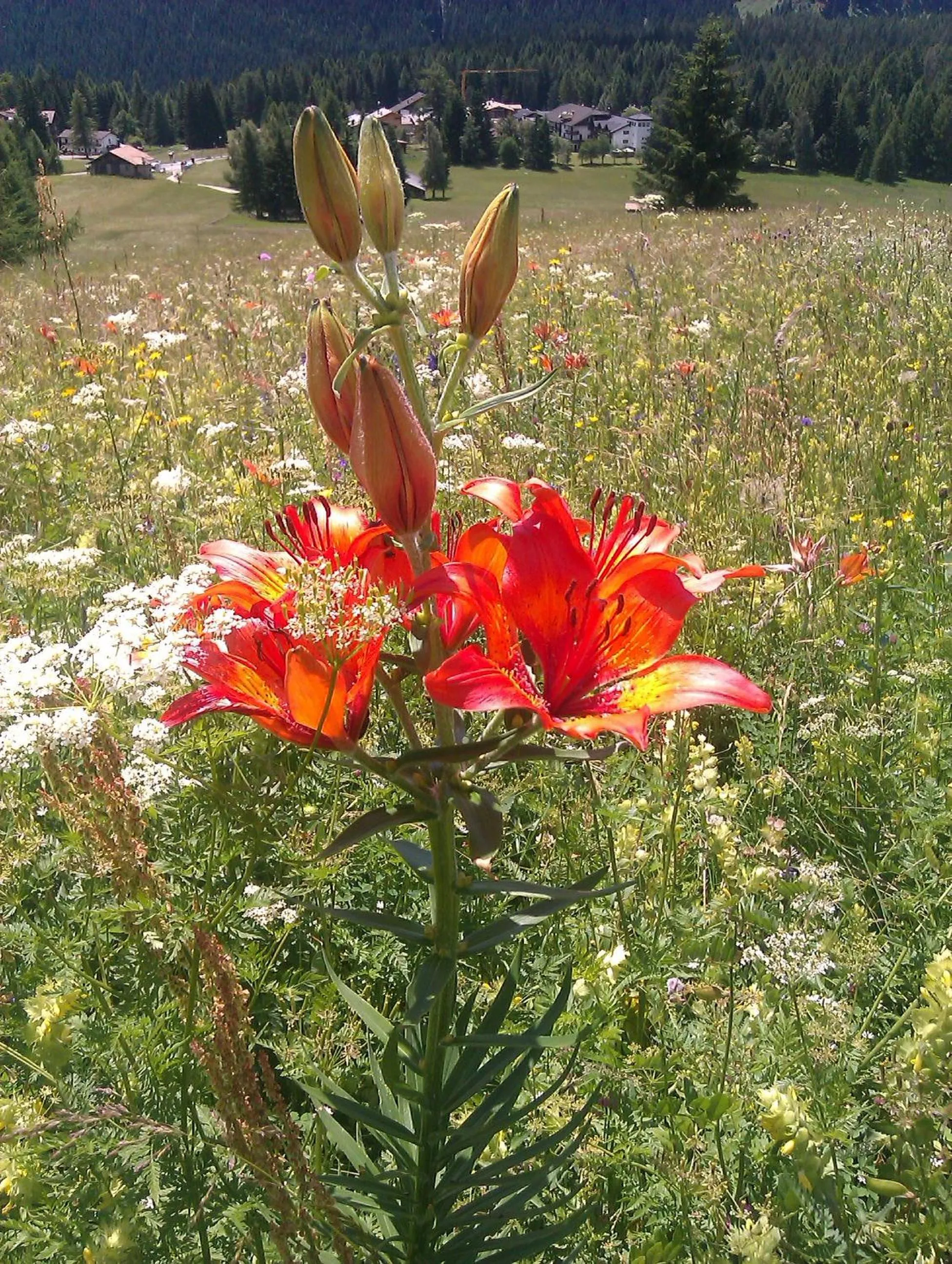 Day in Hotel Sole Family Hotel