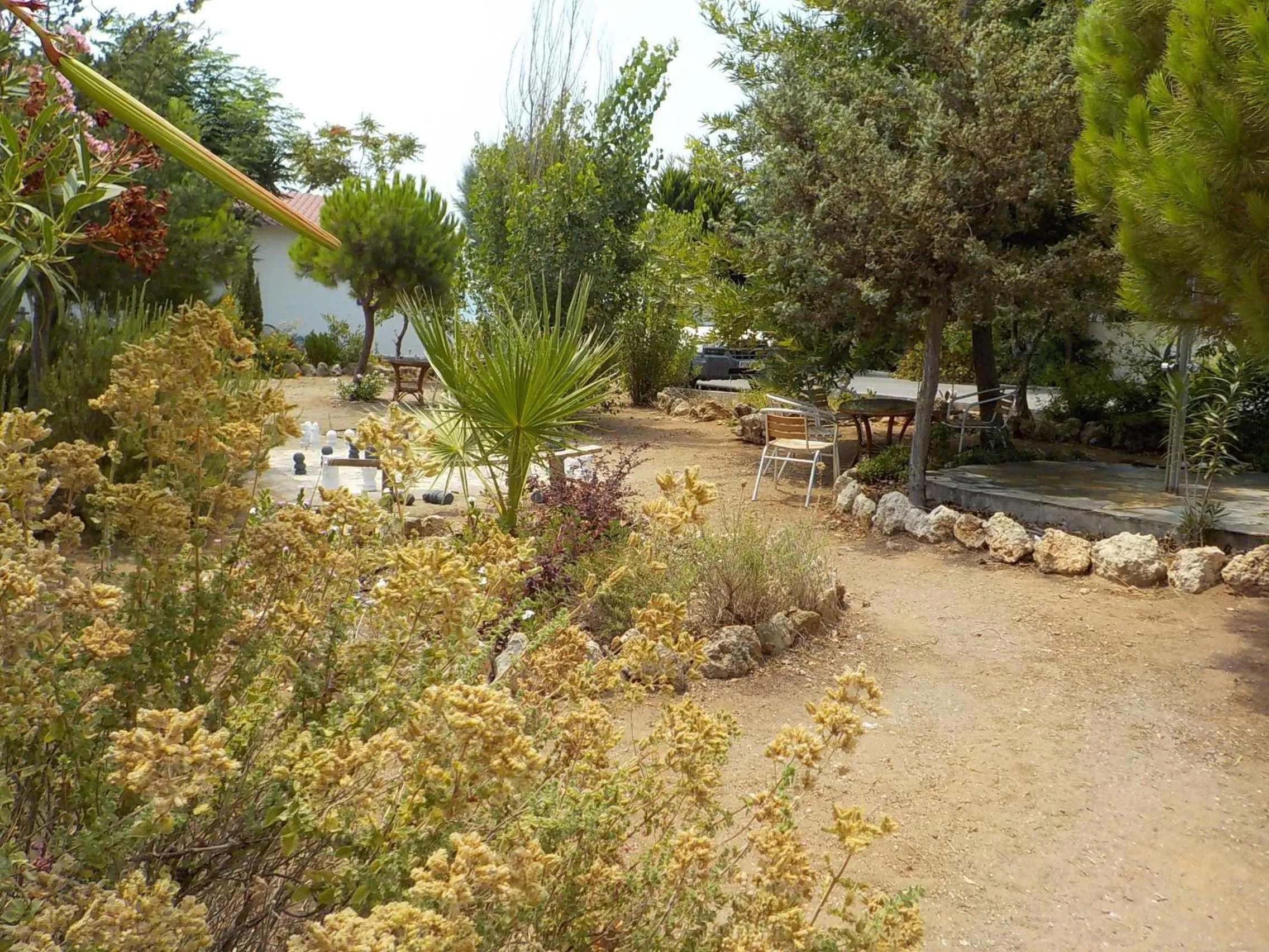 Garden view in Mandorla Apartments