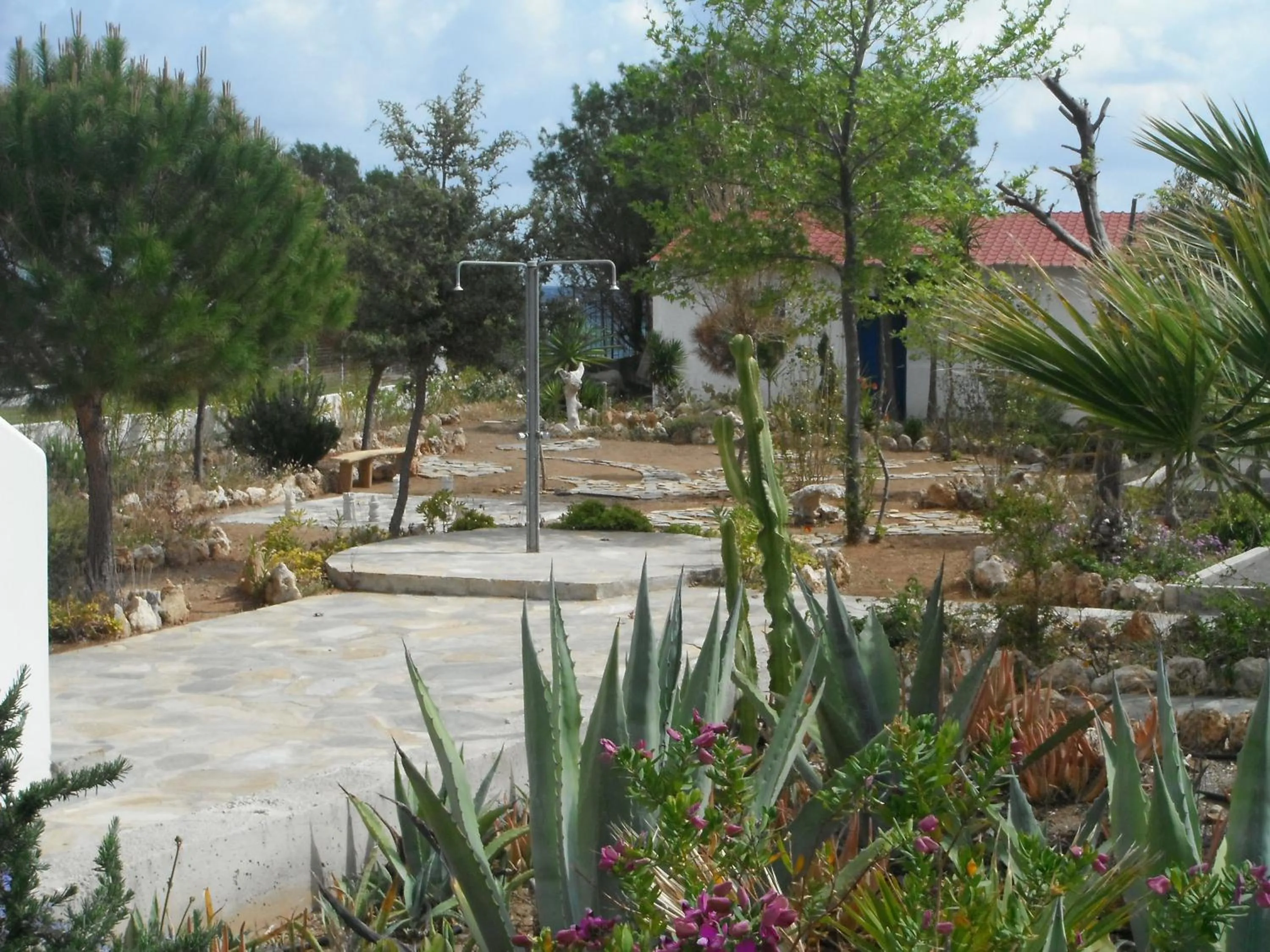 Garden in Mandorla Apartments