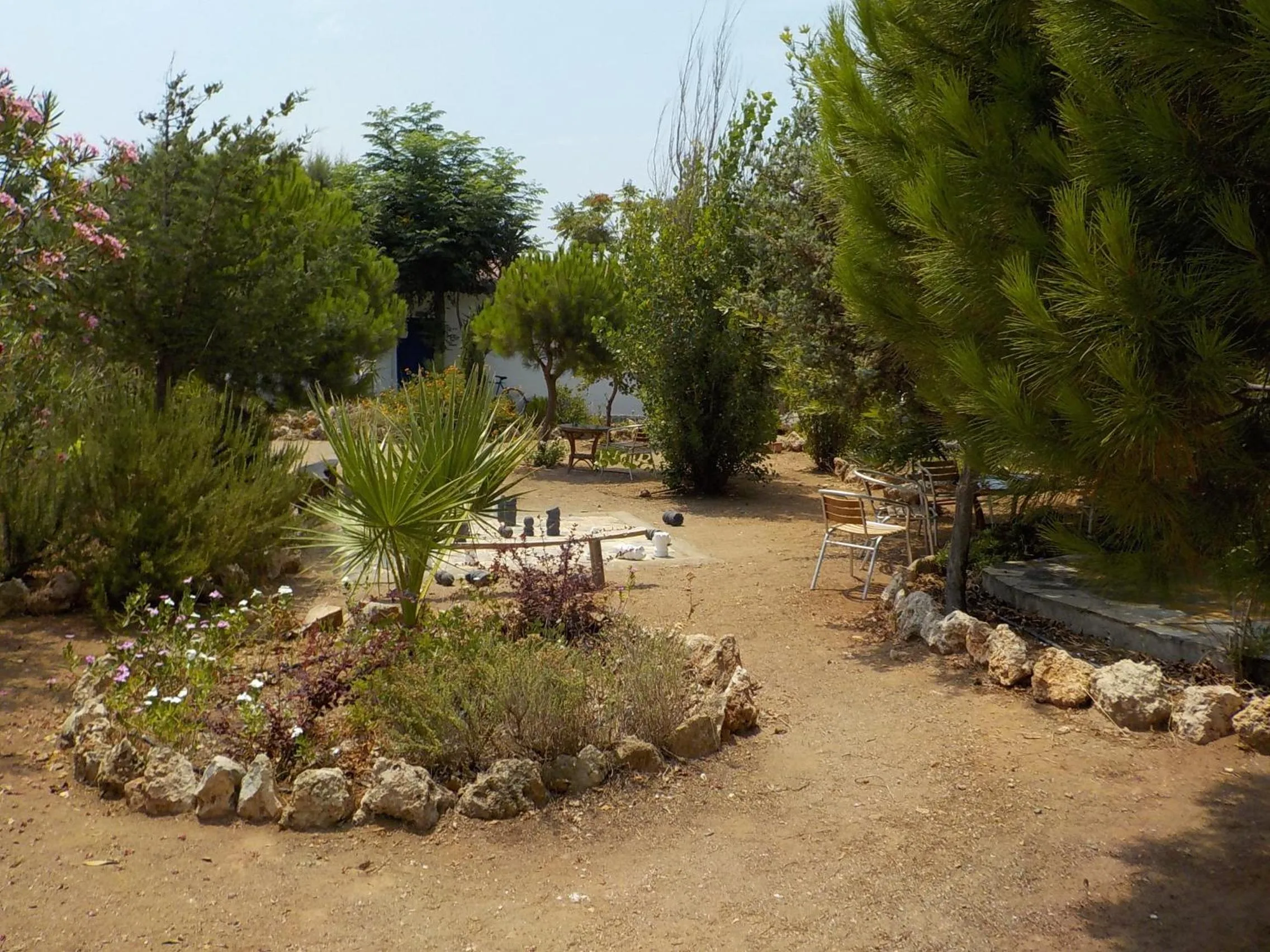 Garden view in Mandorla Apartments