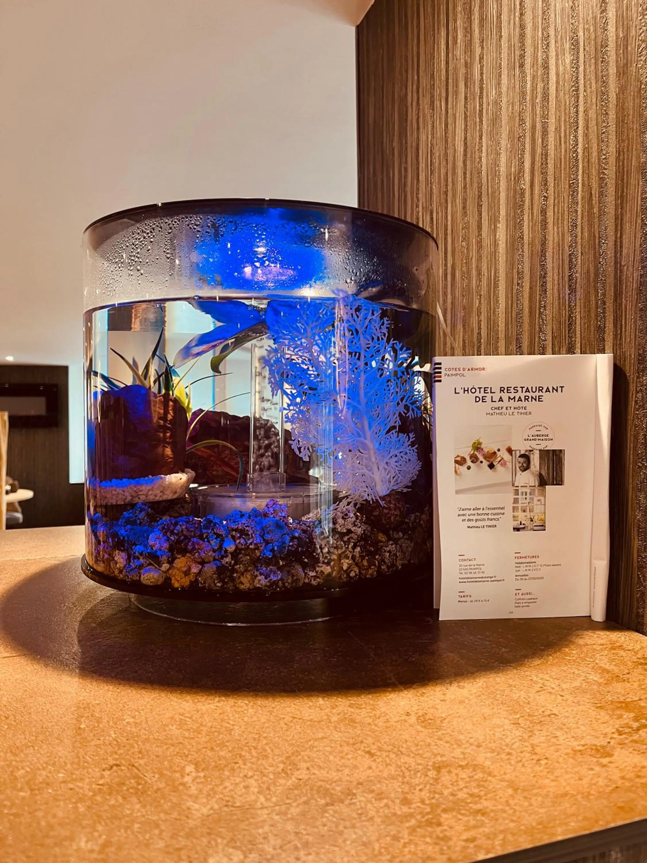 Restaurant/places to eat in Hotel Restaurant de la Marne