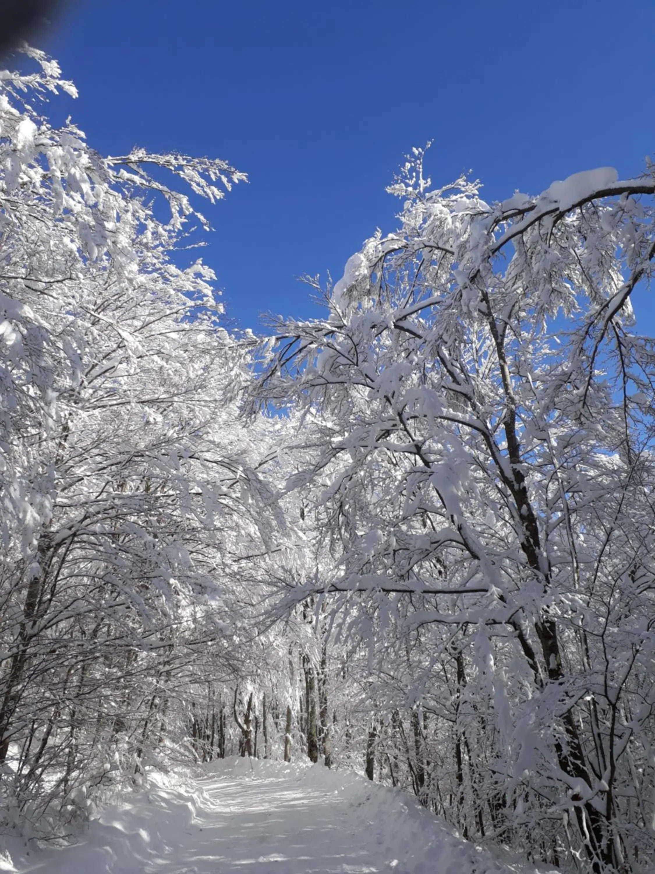 Antica Terrazza Pietramala