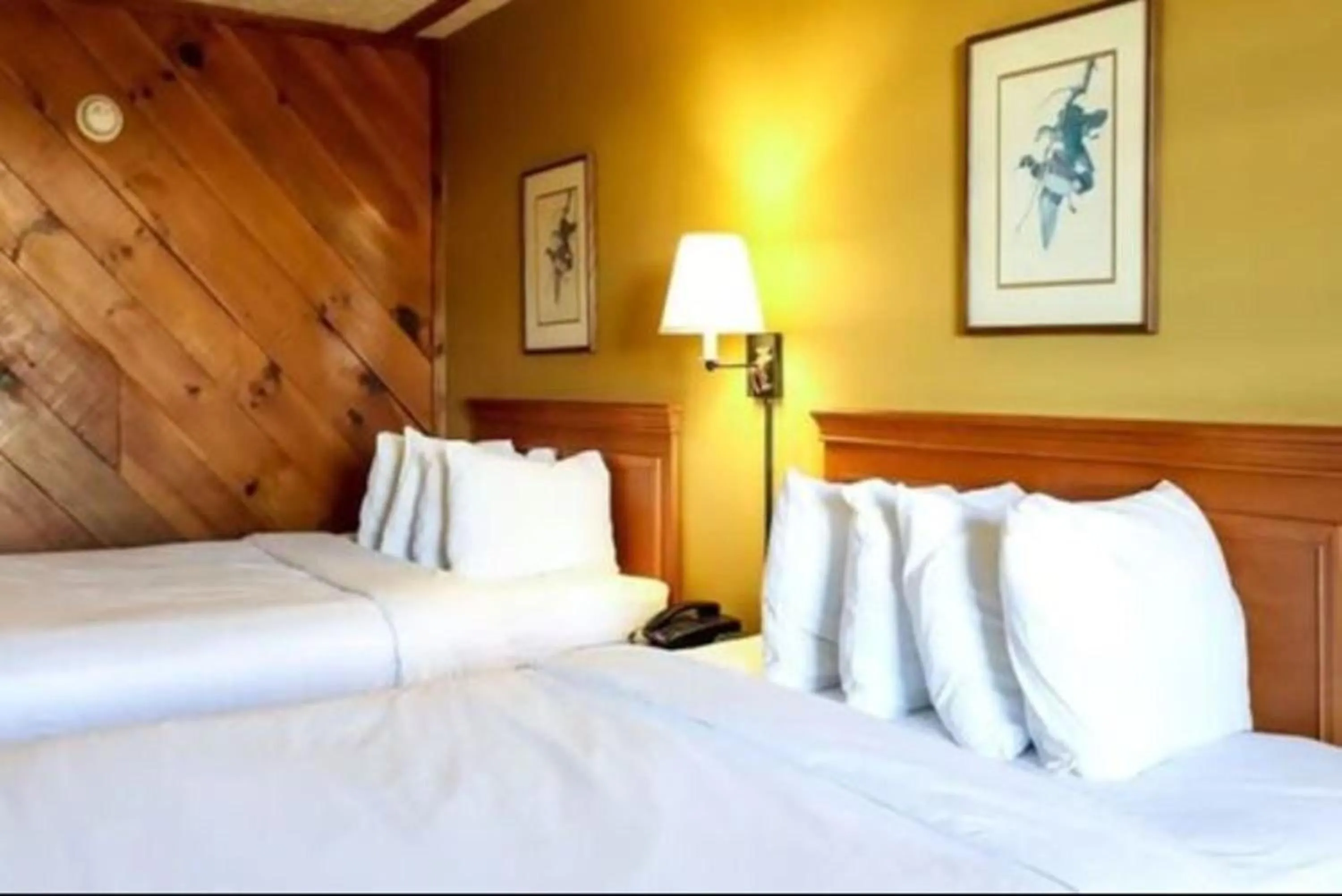 Bed in Timbers Lodge