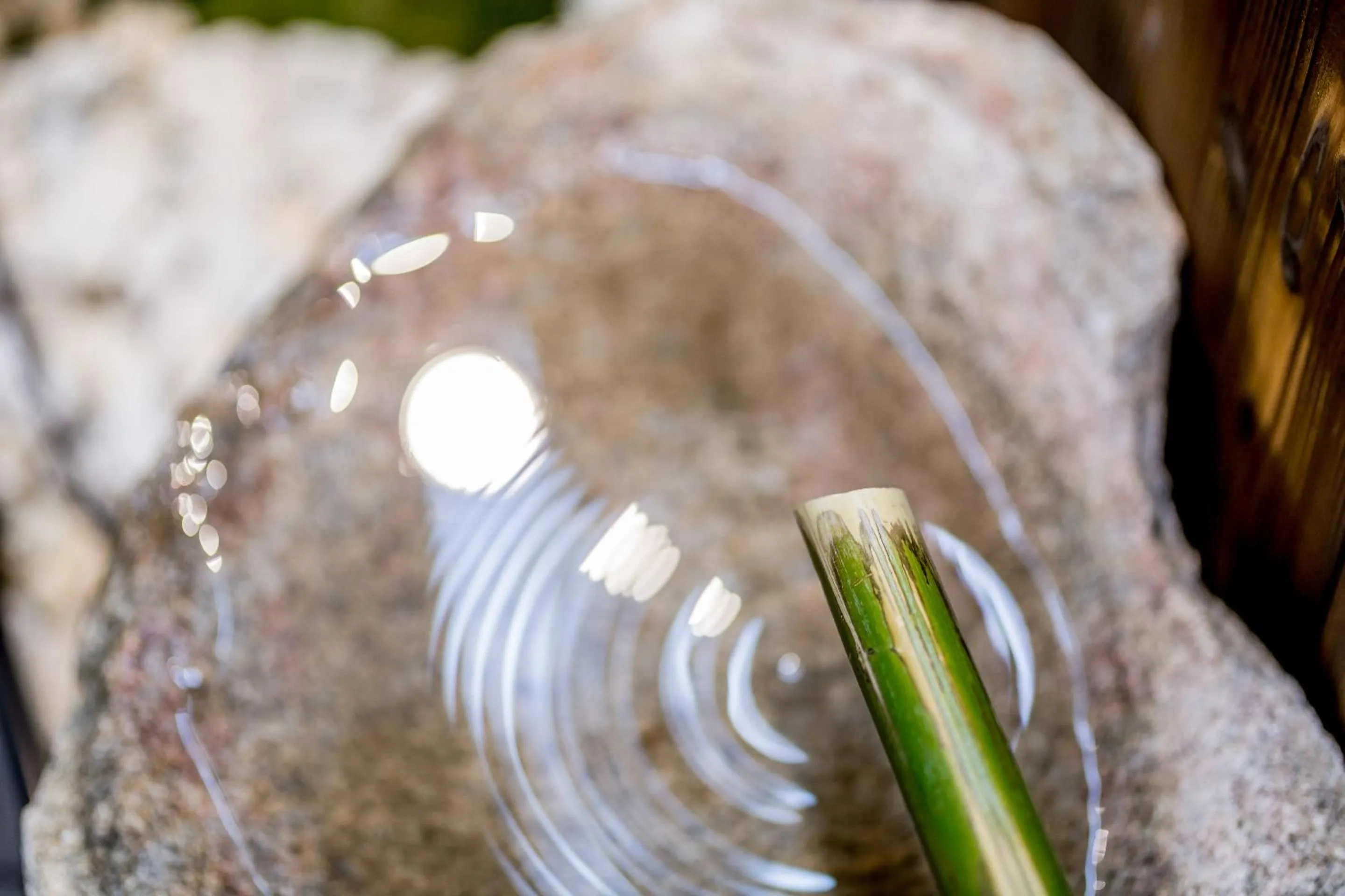 Garden in RESI STAY Yasaka-an