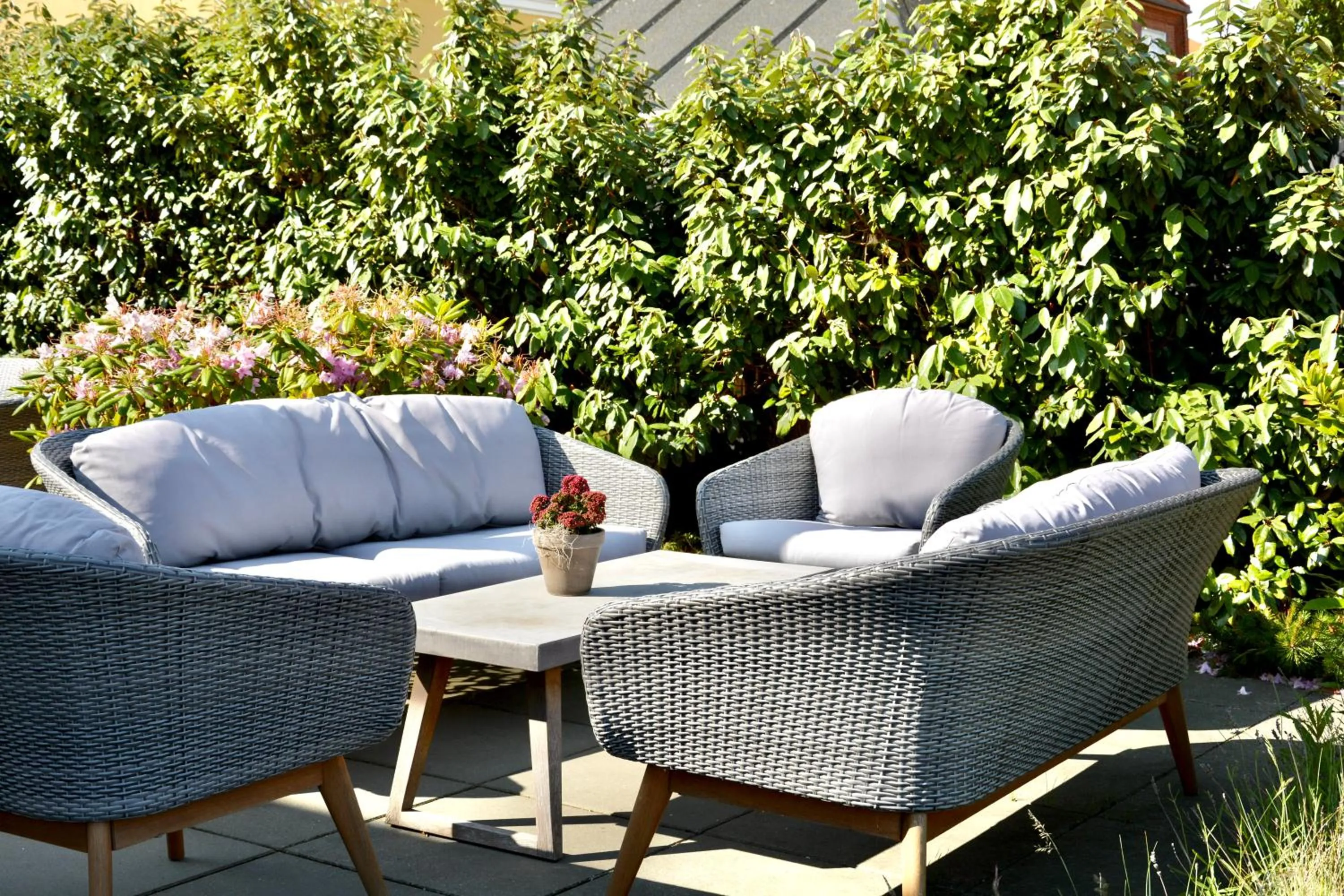 Garden in Hotel Marie