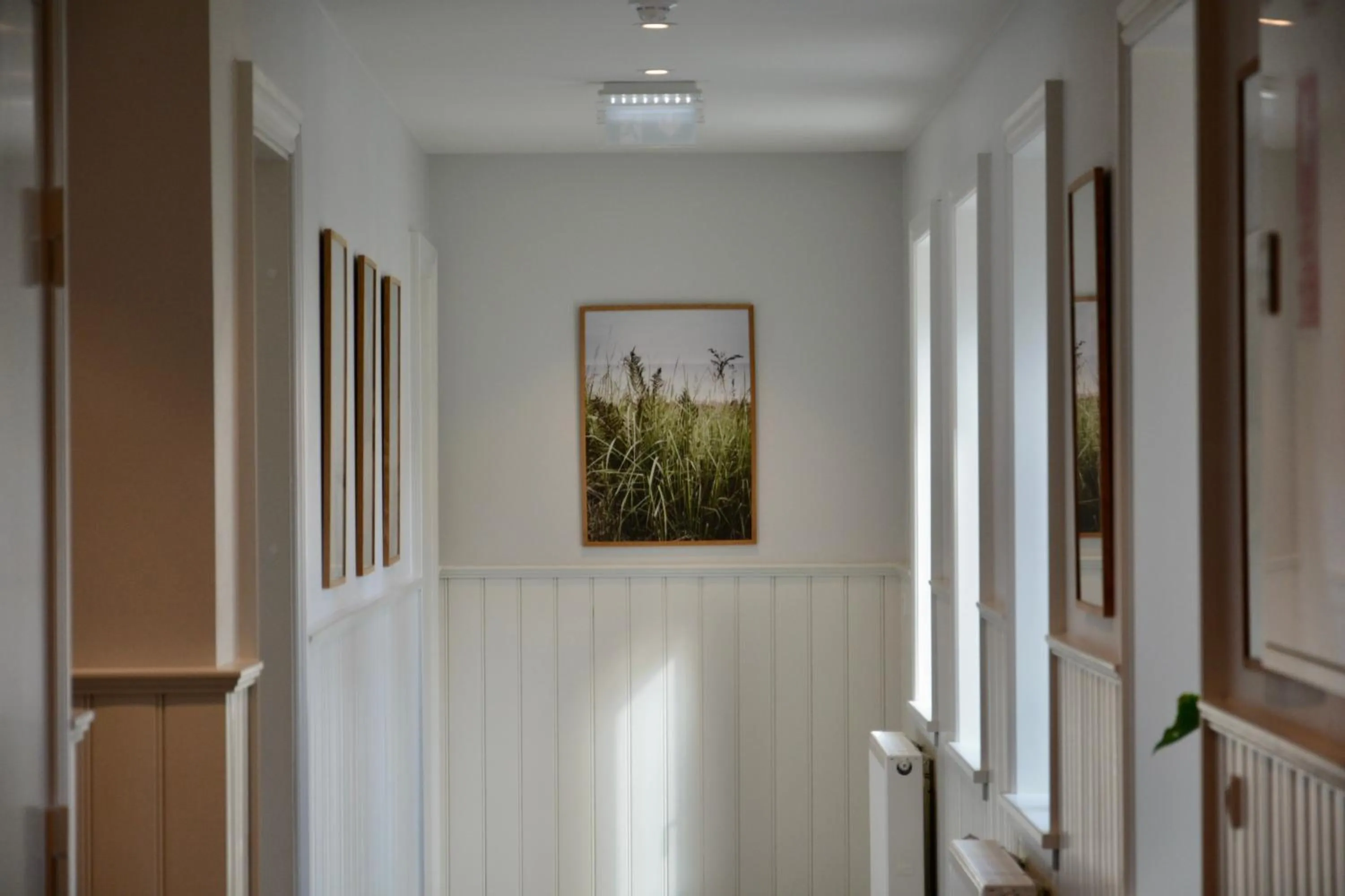 Area and facilities in Hotel Marie