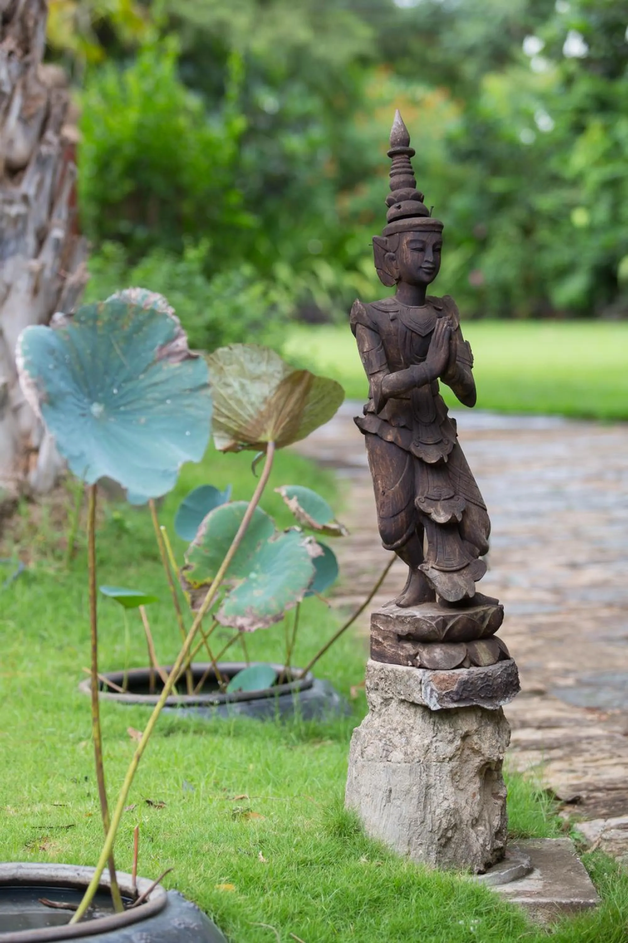 Garden in The Hotel @ Tharabar Gate
