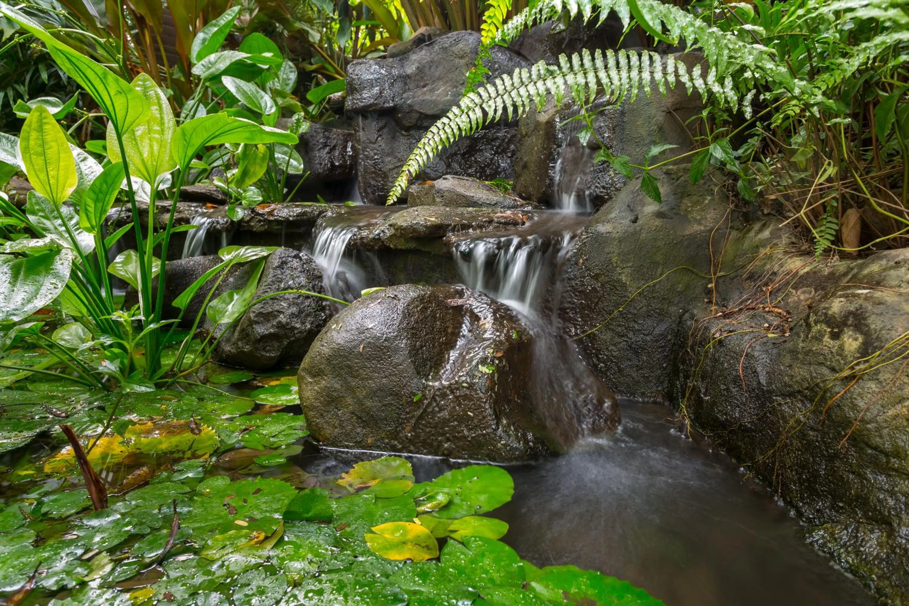 Garden in The Hotel @ Tharabar Gate