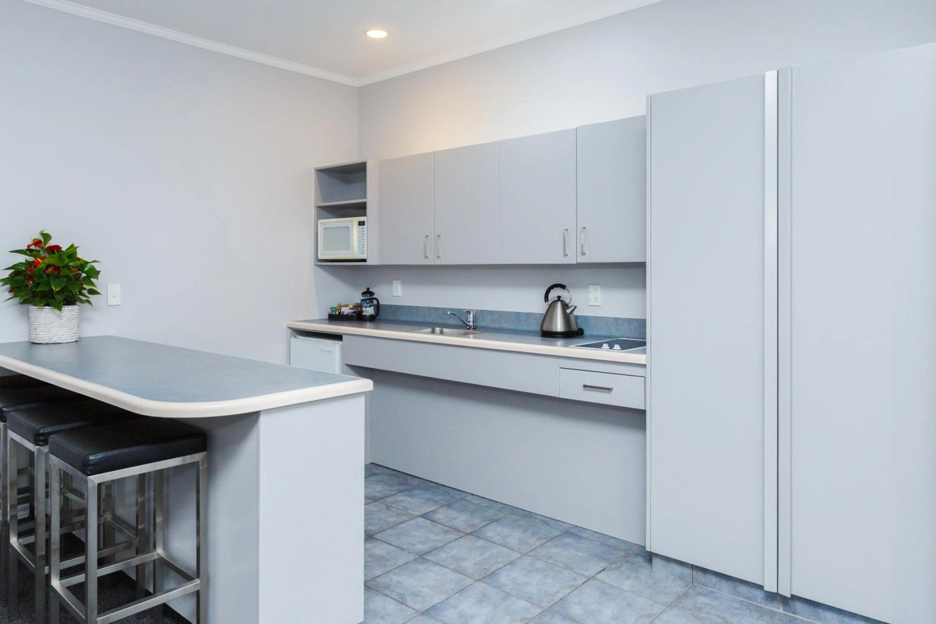 Kitchen or kitchenette in Aubyn Court Spa Motel