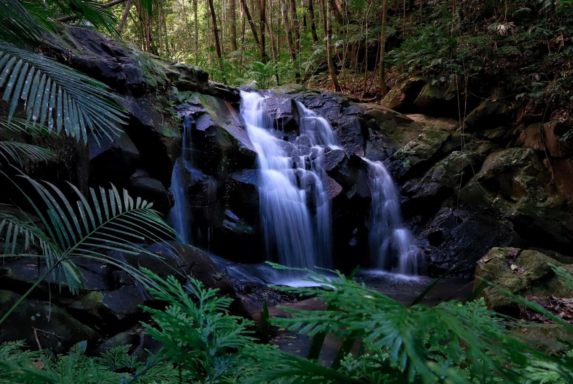 Natural landscape in Rose Gums Wilderness Retreat