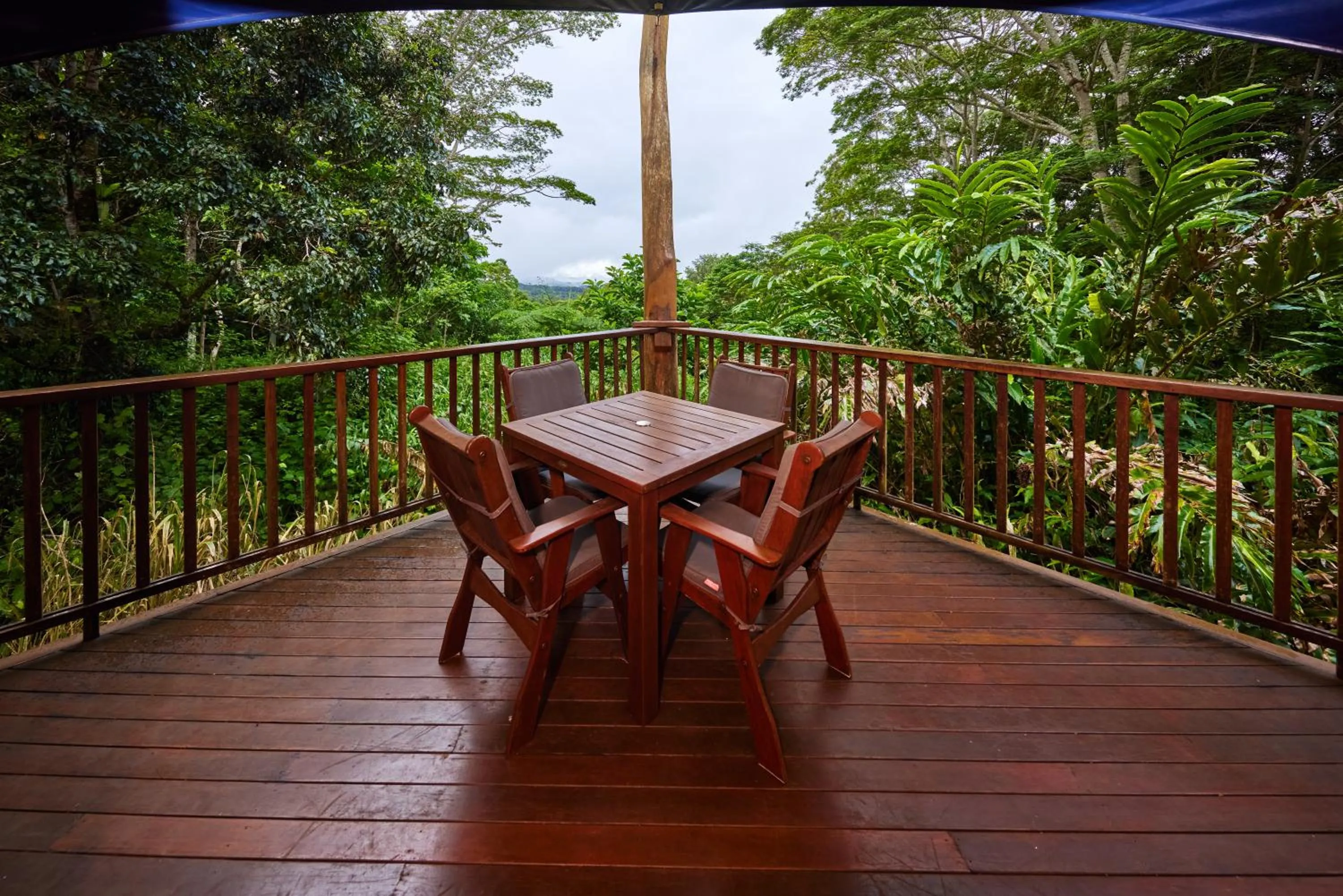 Balcony/Terrace in Rose Gums Wilderness Retreat