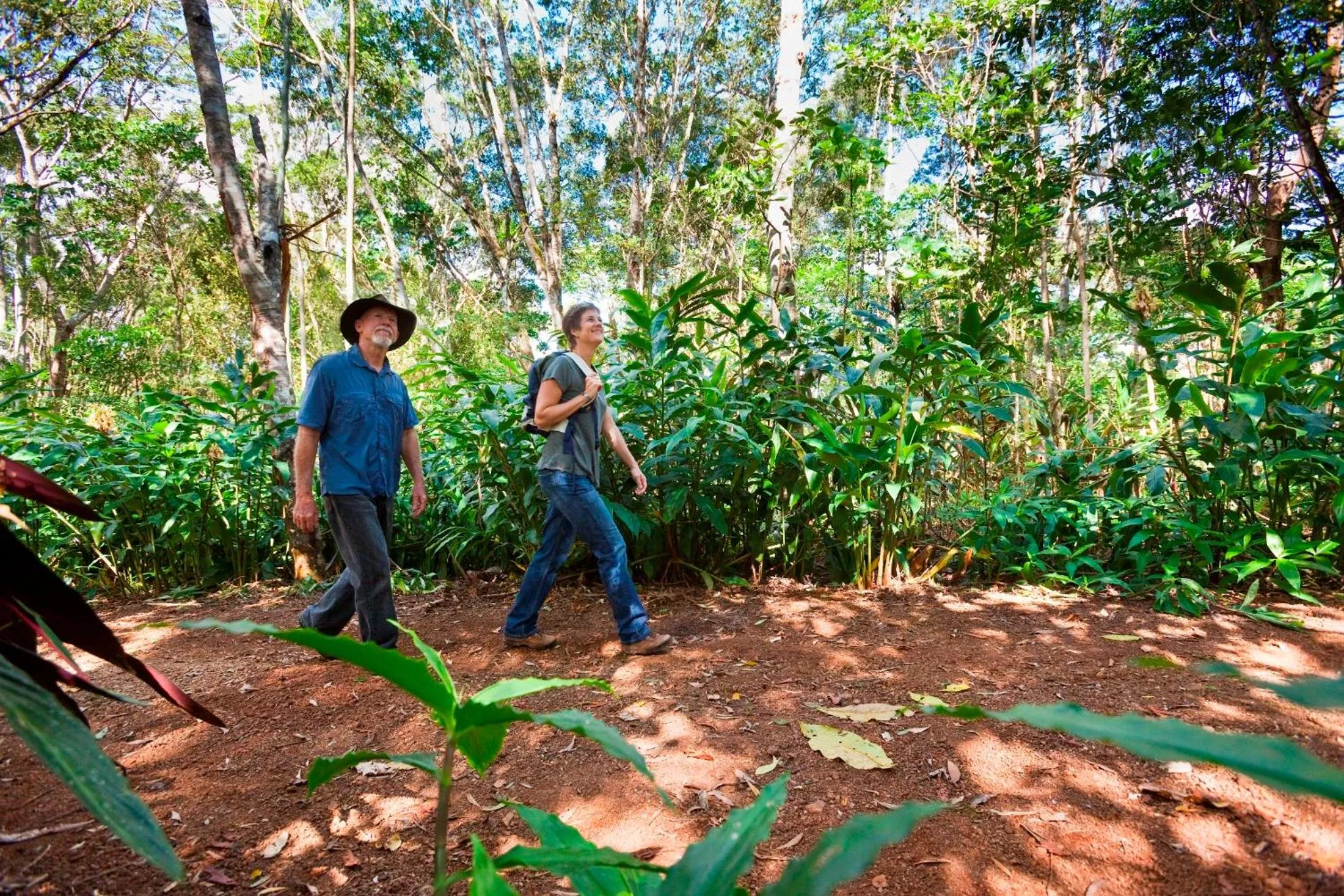 Activities in Rose Gums Wilderness Retreat