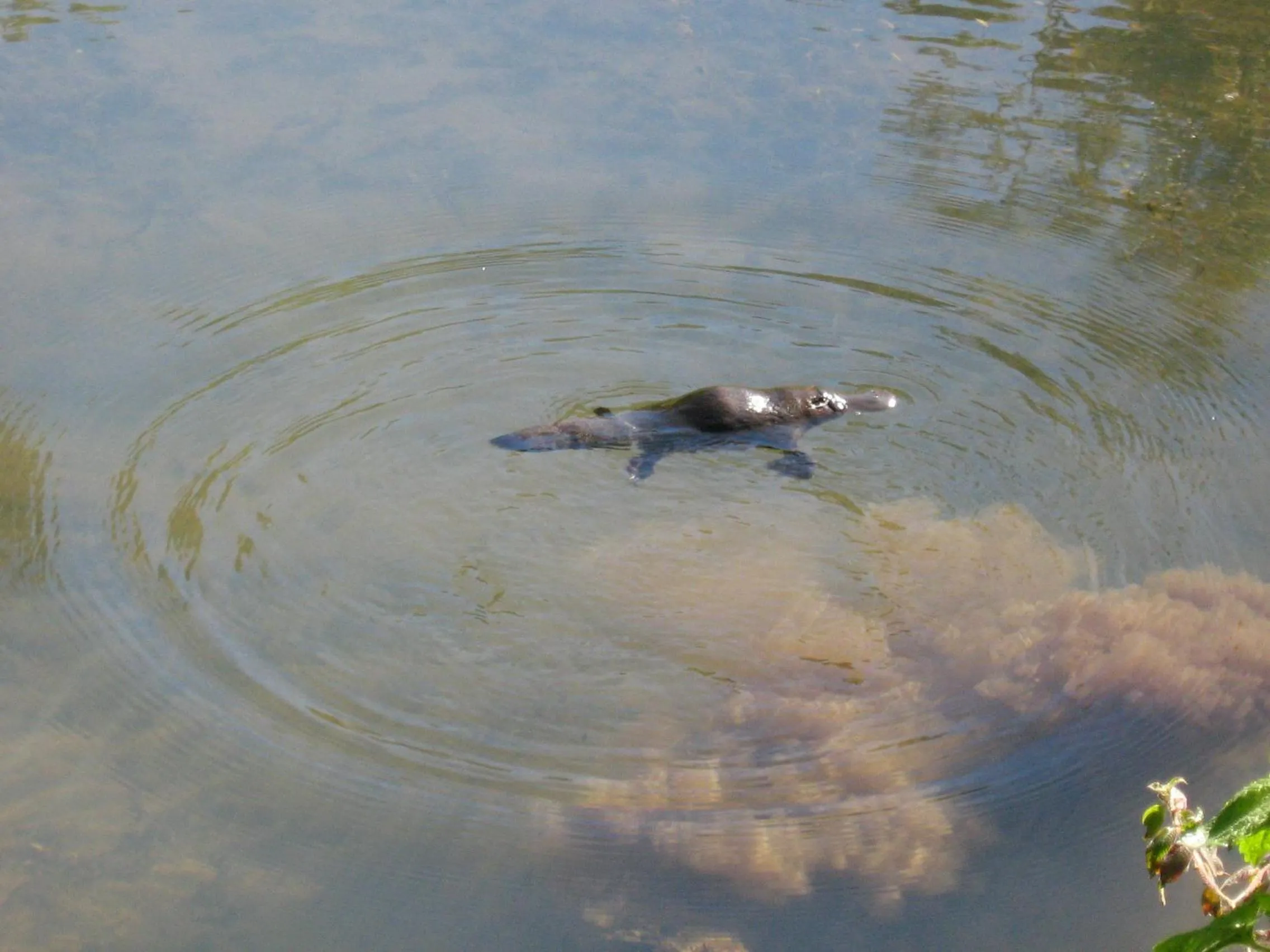 Activities in Rose Gums Wilderness Retreat