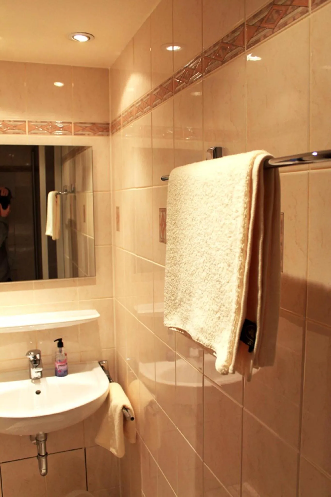 Twin Room - single occupancy in Hotel-Landgasthof Grüner Baum - Dittigheim