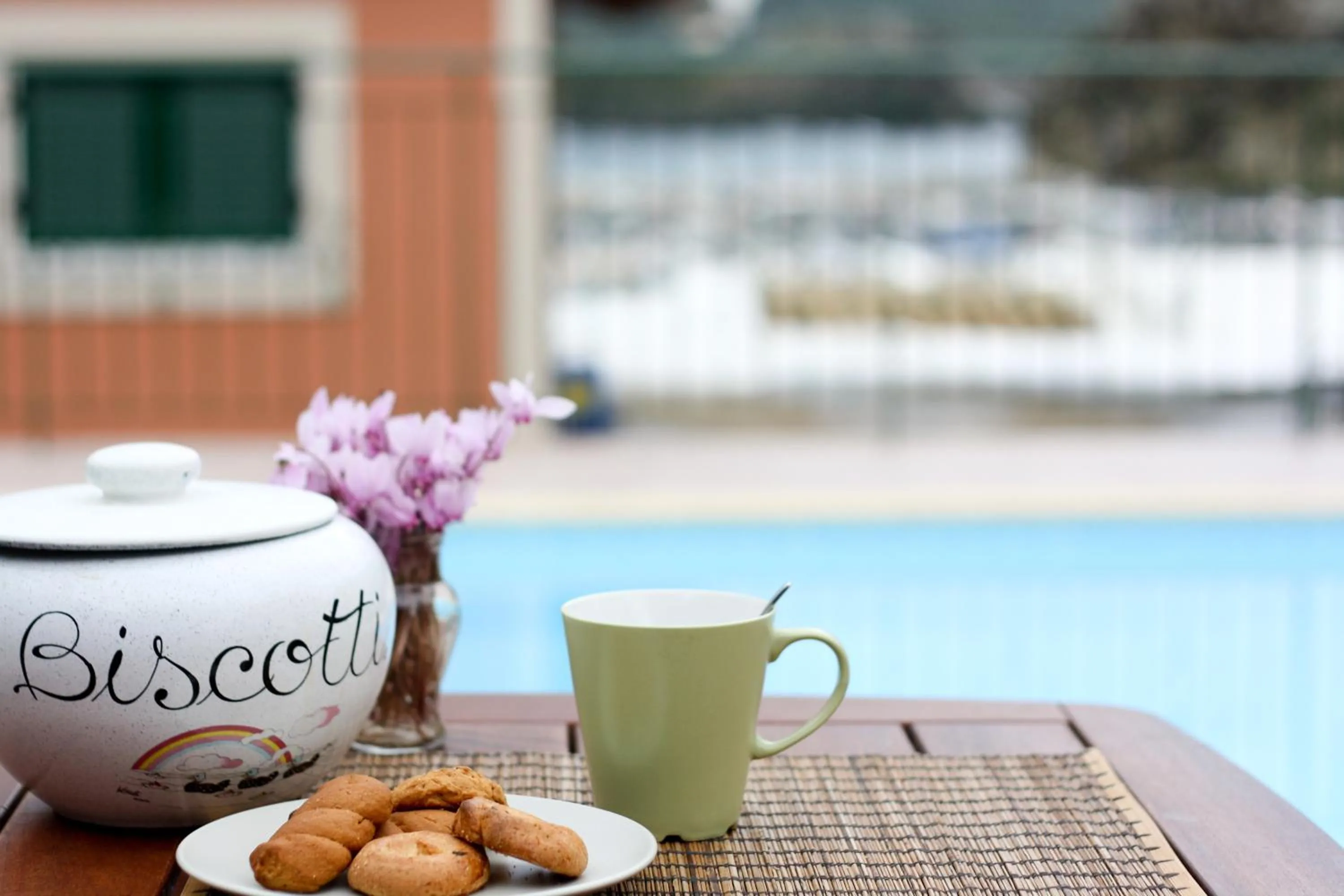 Garden in Akis Apartments
