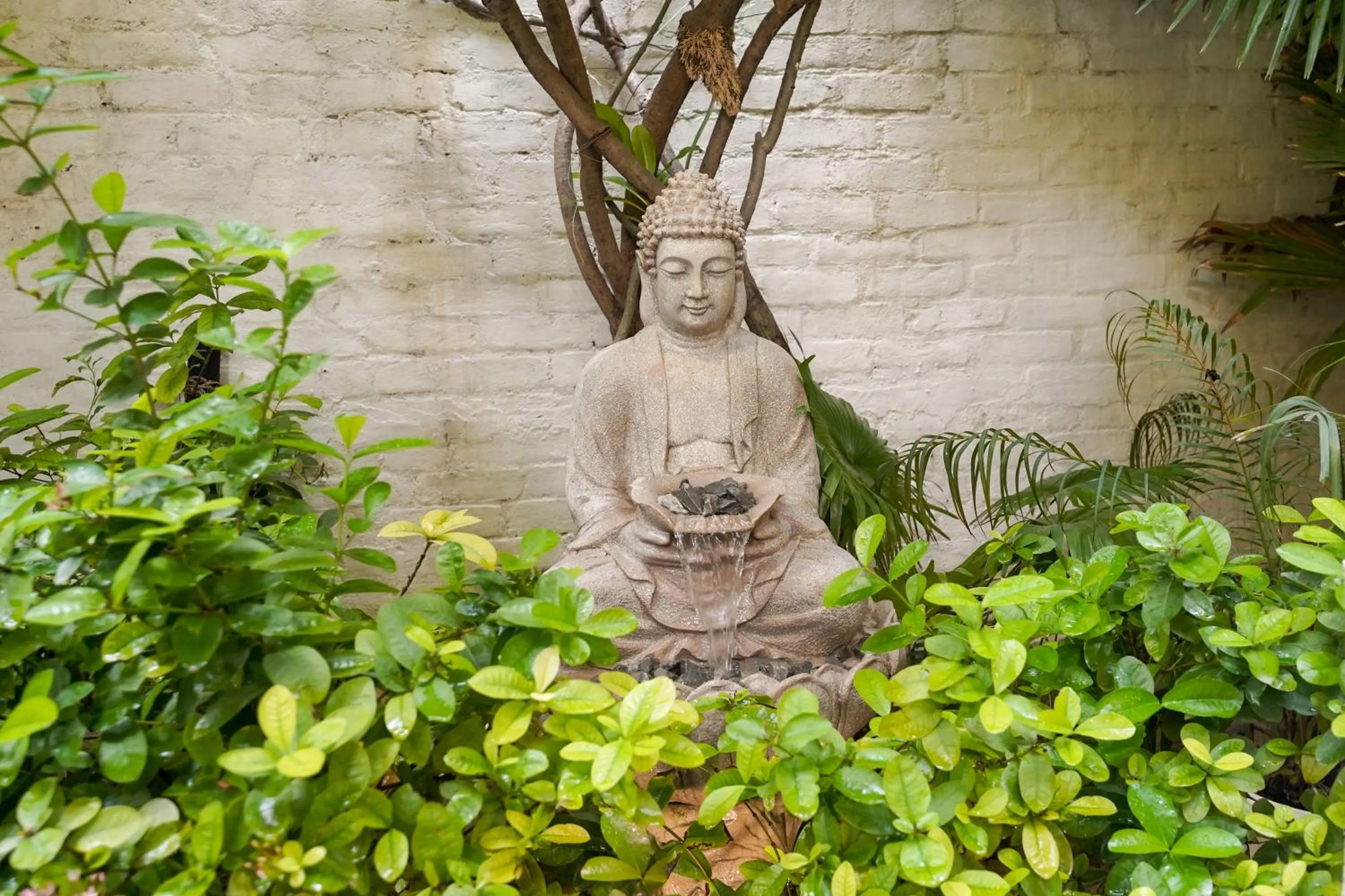 Property logo or sign in Stay Banaras - A Boutique Hotel