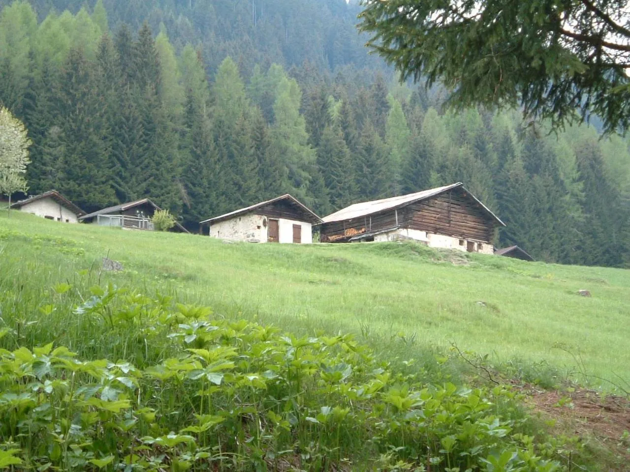 Chalet Nel Doch