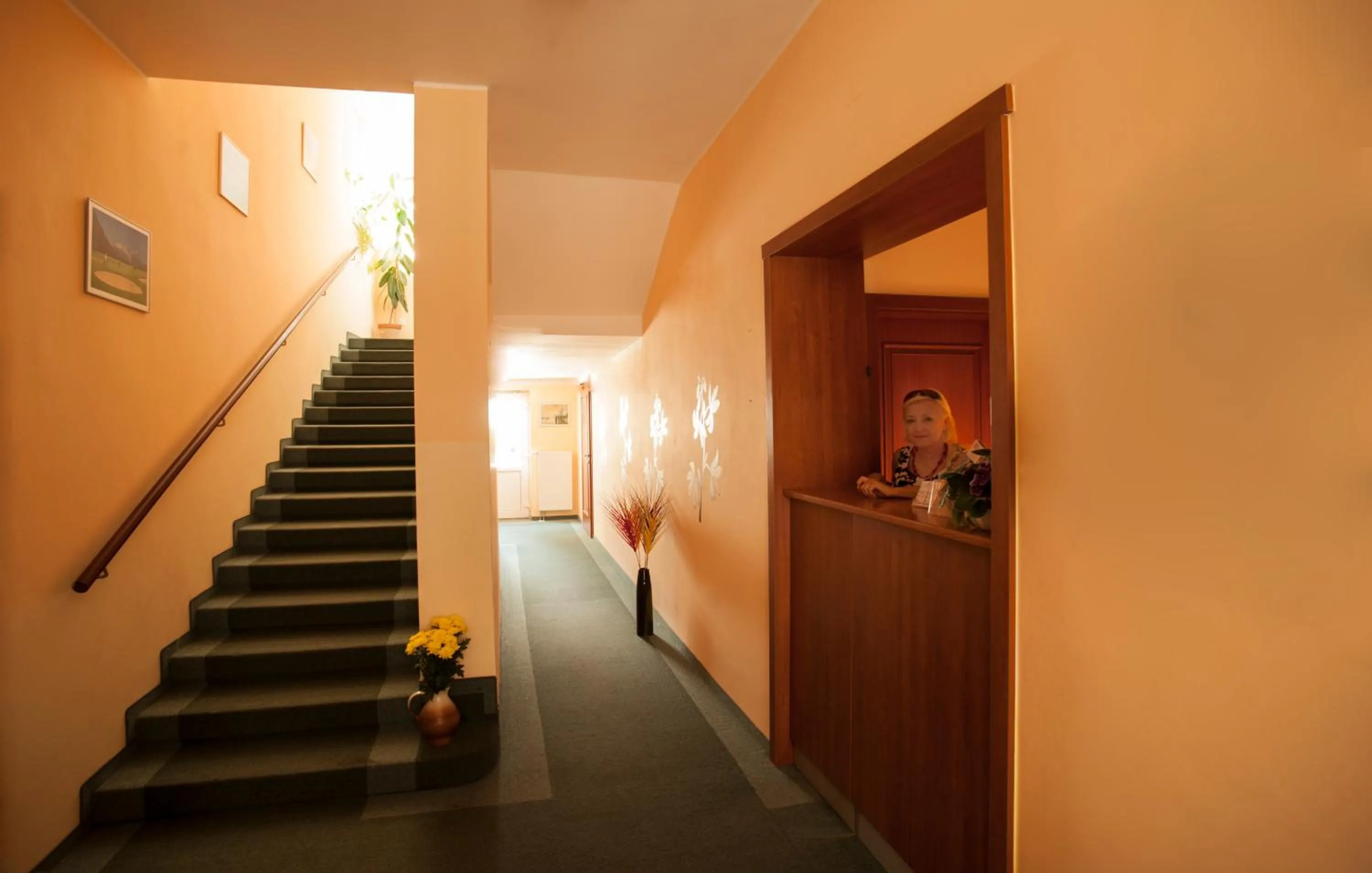 Lobby or reception in Penzion Fan