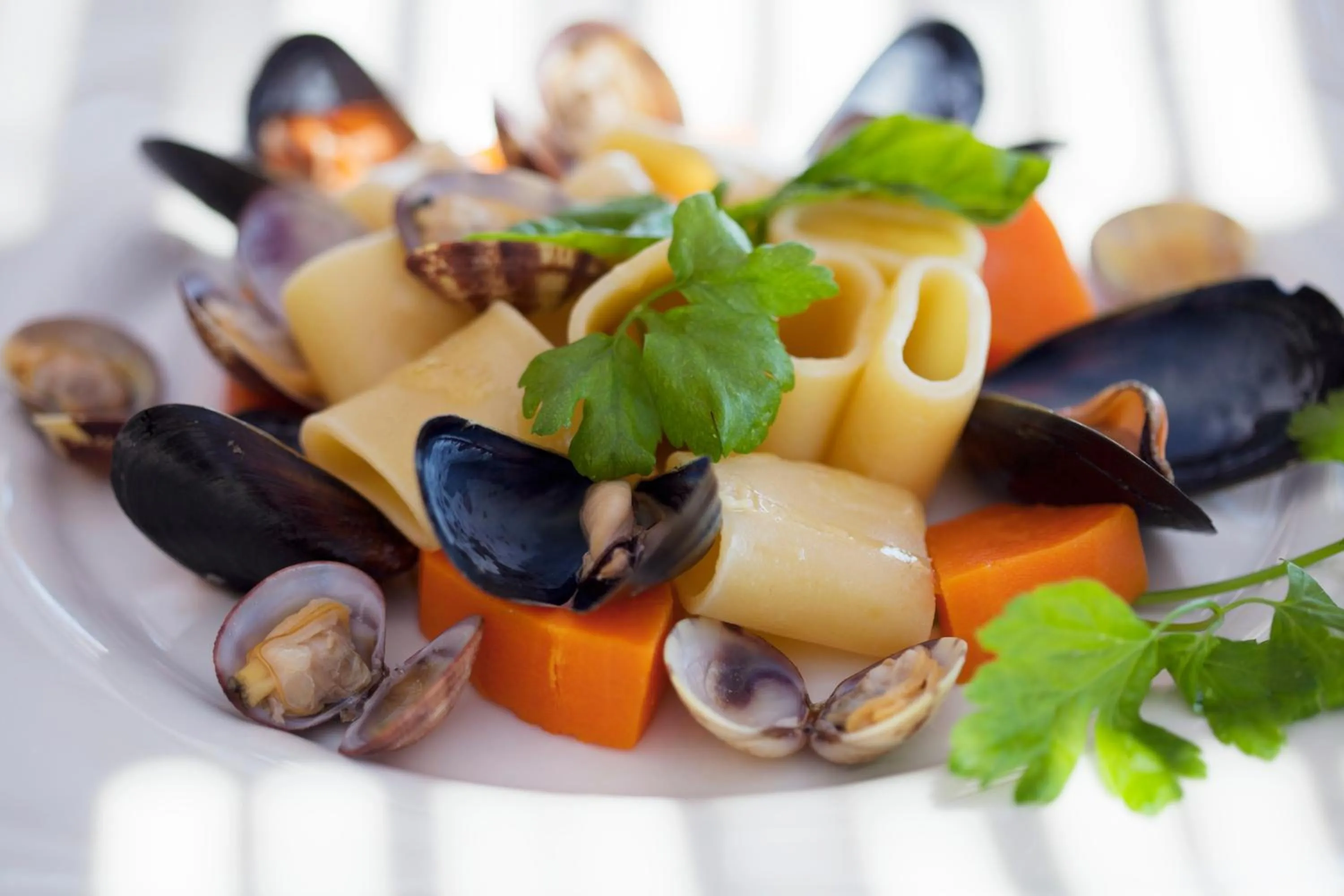 Restaurant/places to eat in Hotel Cincotta