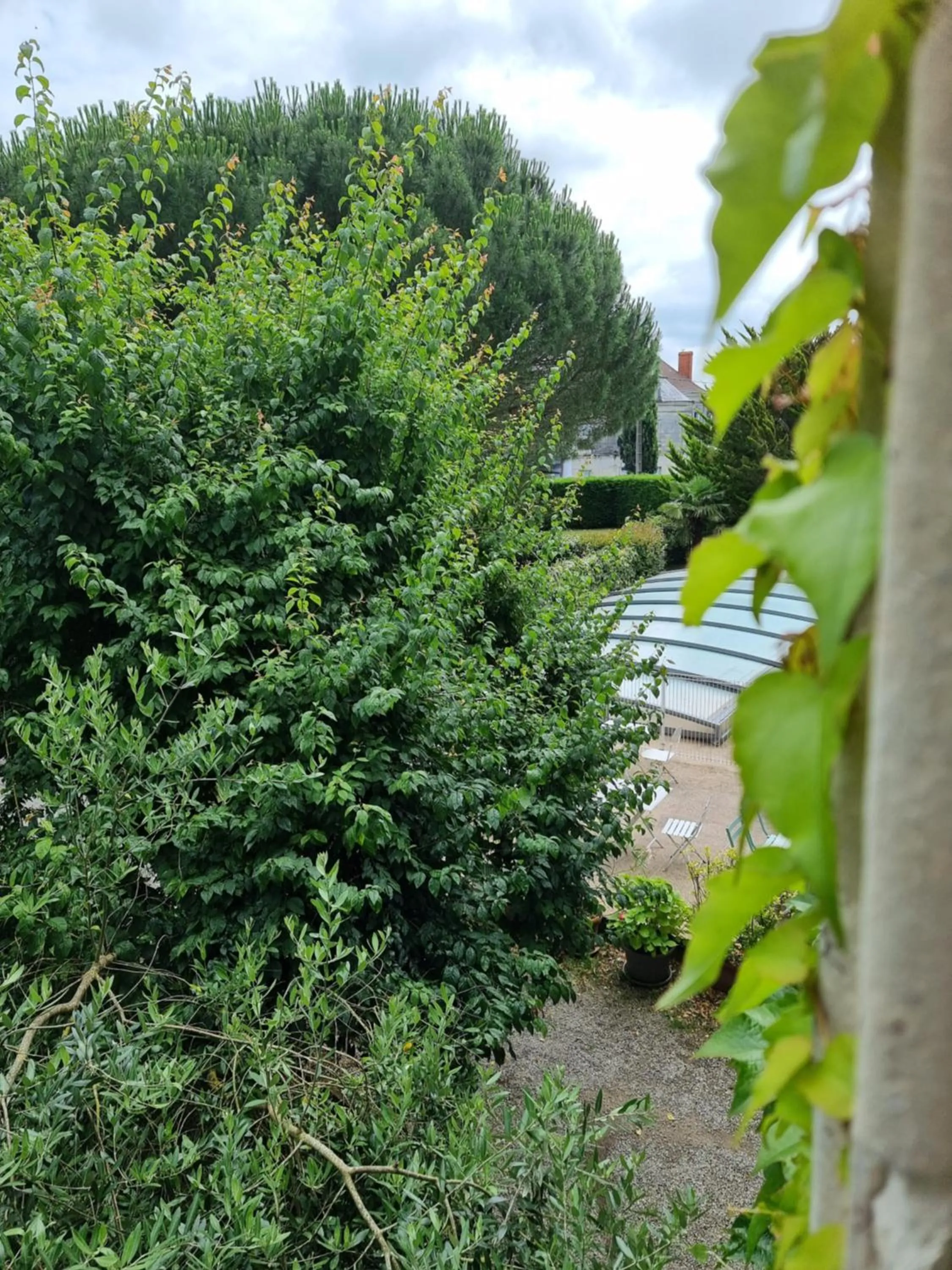Pool view in Maison d'hôtes Villa Richelieu