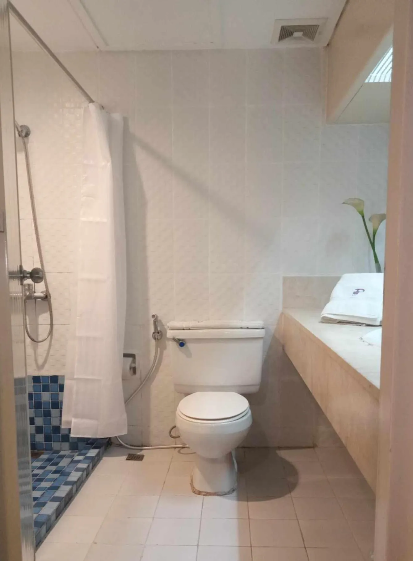 Bathroom in Paragon Tower Hotel