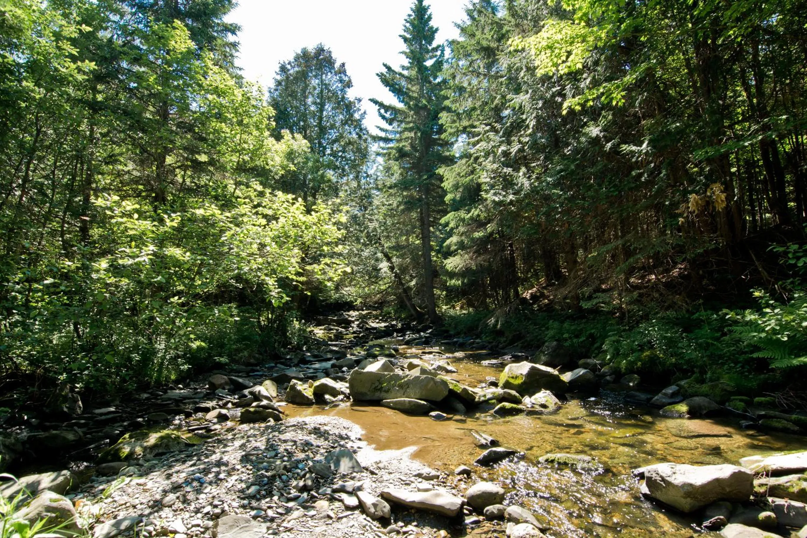 Camping Chalets Spas Pignons Rouges