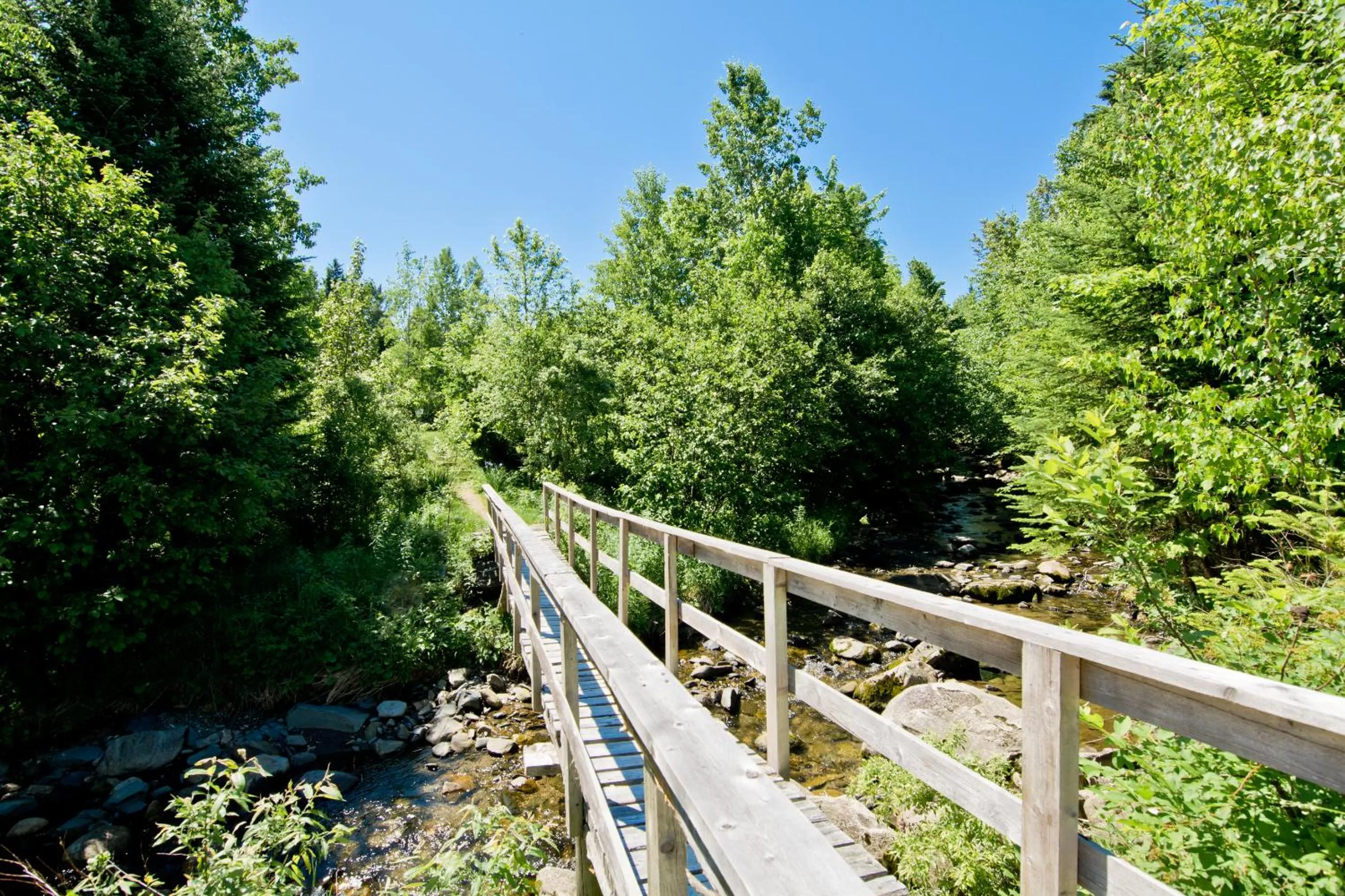 Camping Chalets Spas Pignons Rouges