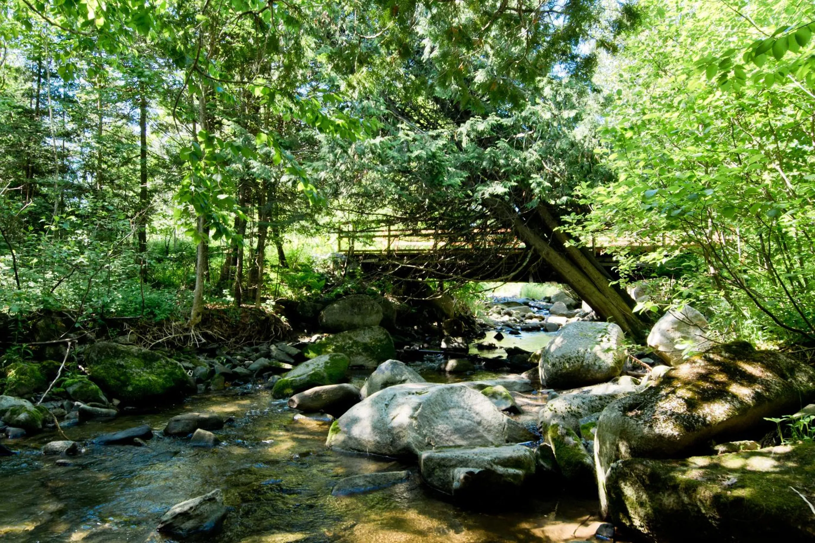 Camping Chalets Spas Pignons Rouges