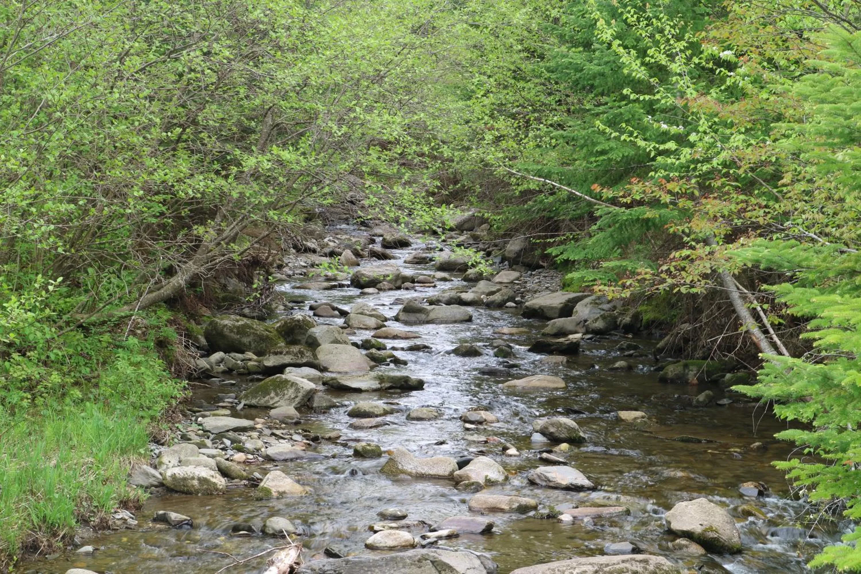 Camping Chalets Spas Pignons Rouges