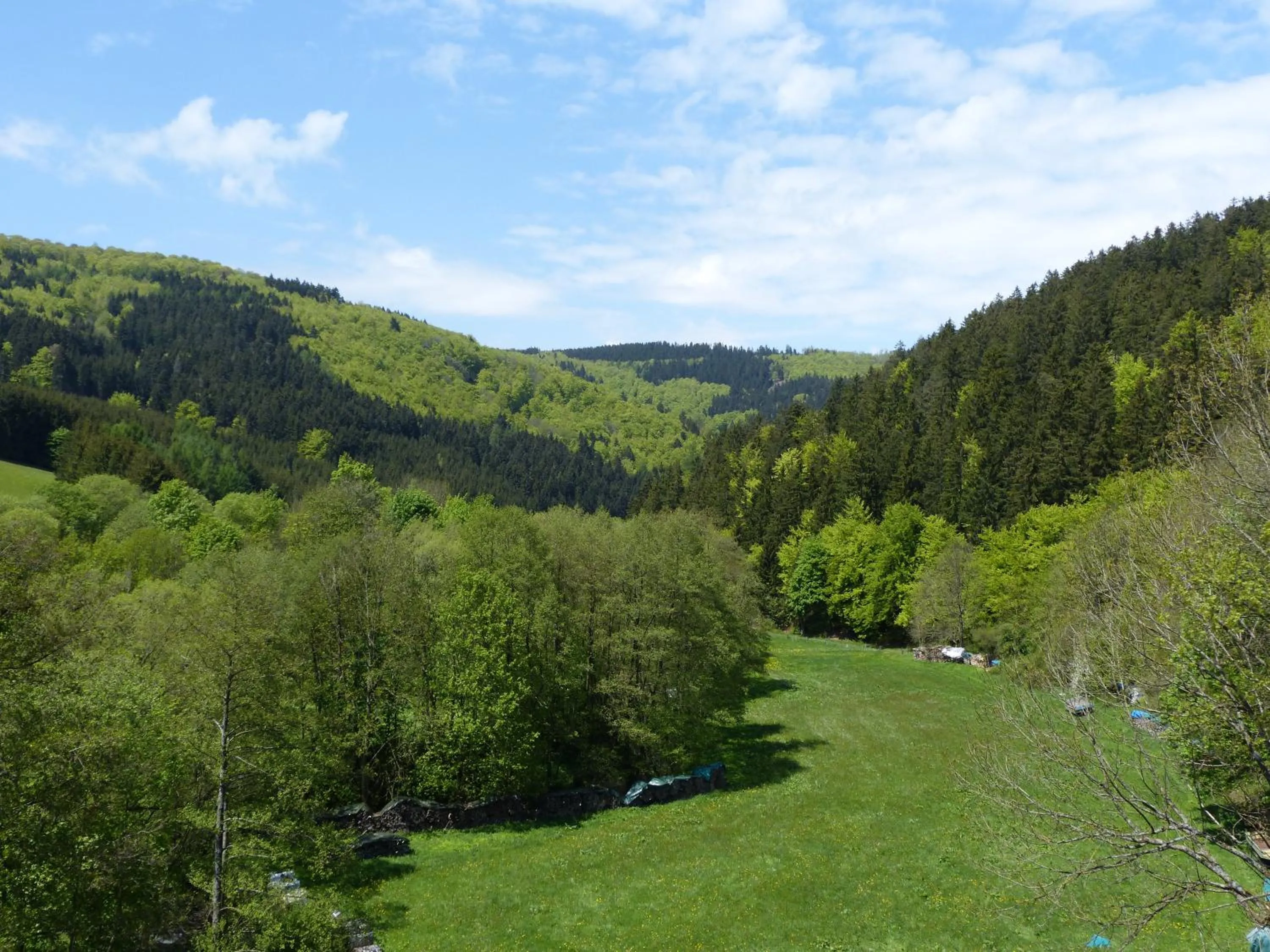 Garden view in Cafe-Pension Waldesruh