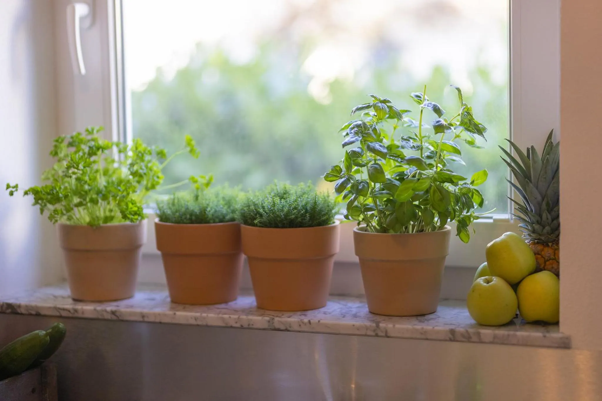 Boardinghouse HOME - adults only -