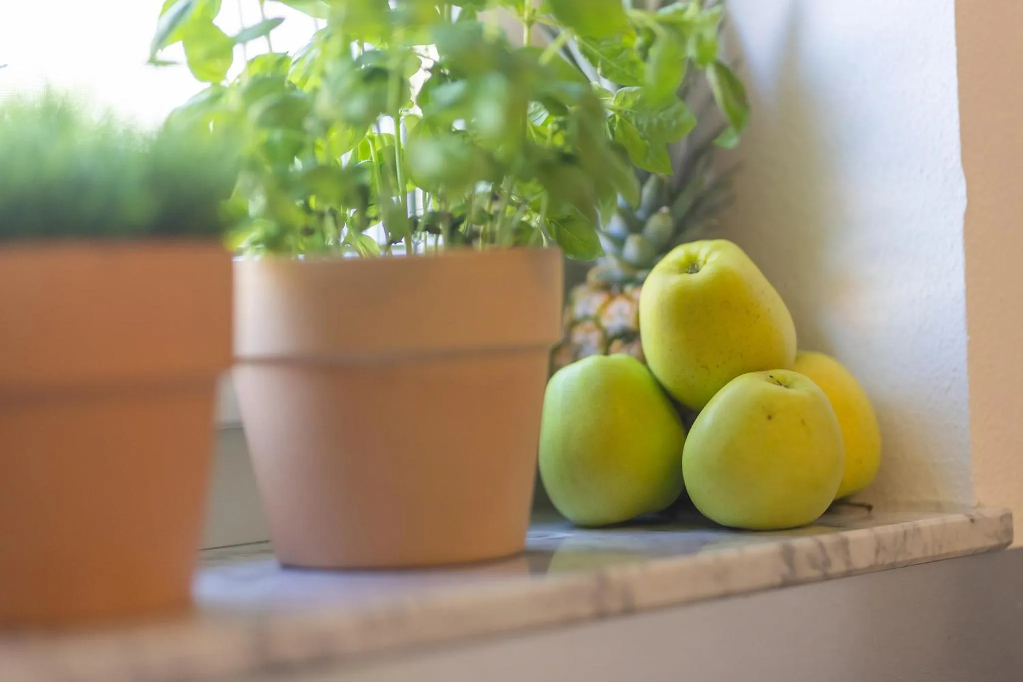 Food and drinks in Boardinghouse HOME - adults only -