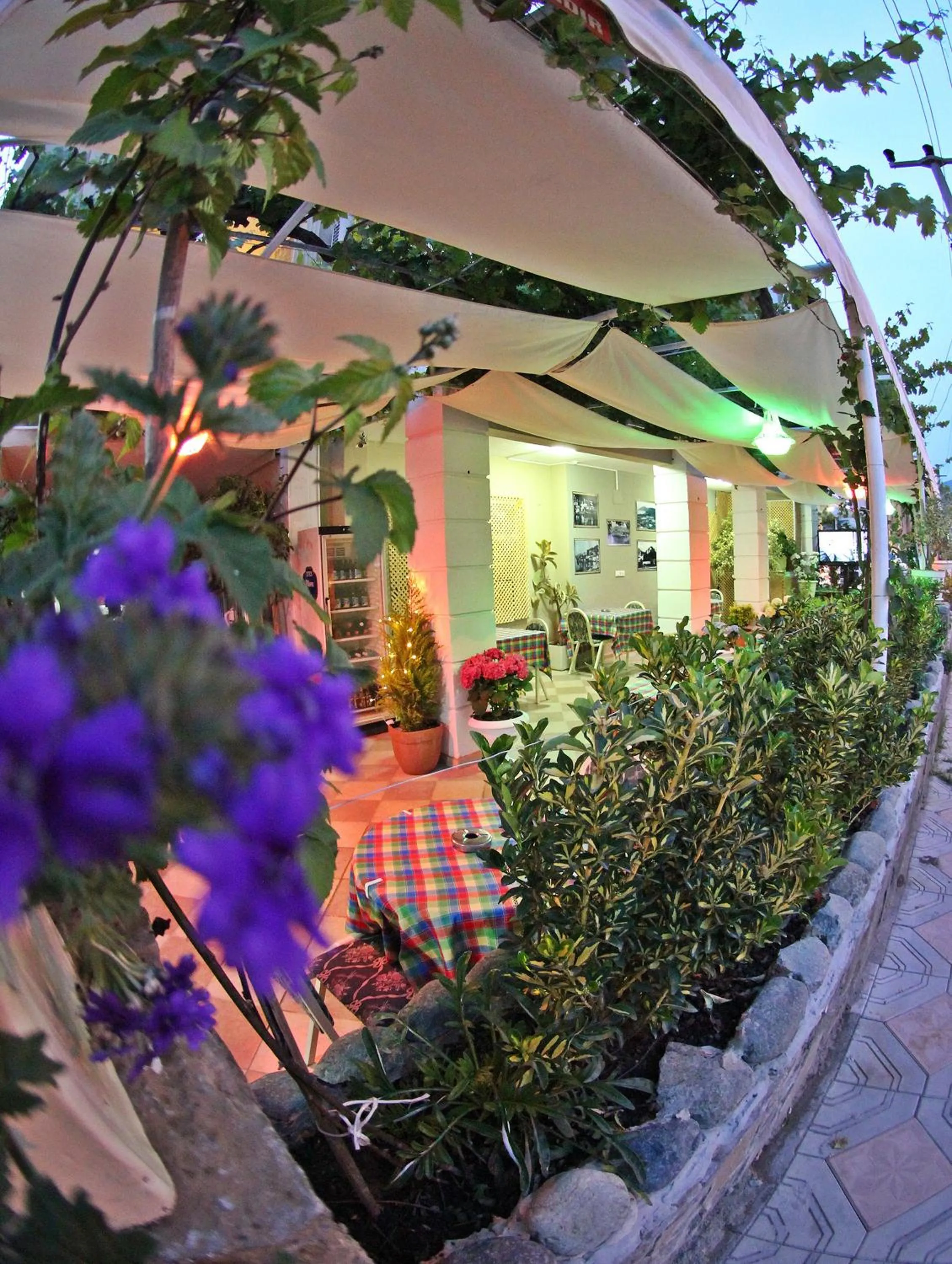 Garden in Hotel Dost