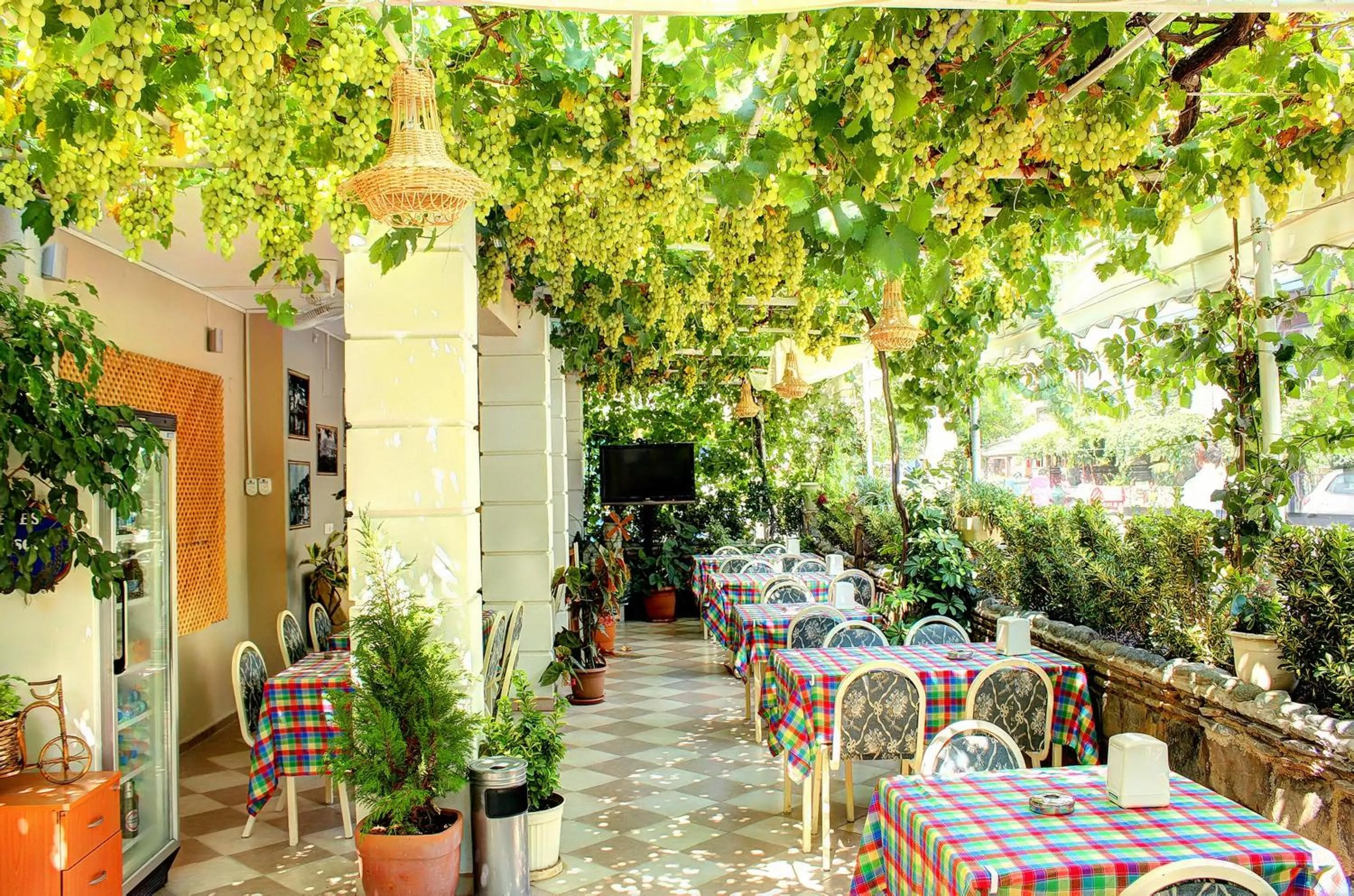 Garden in Hotel Dost