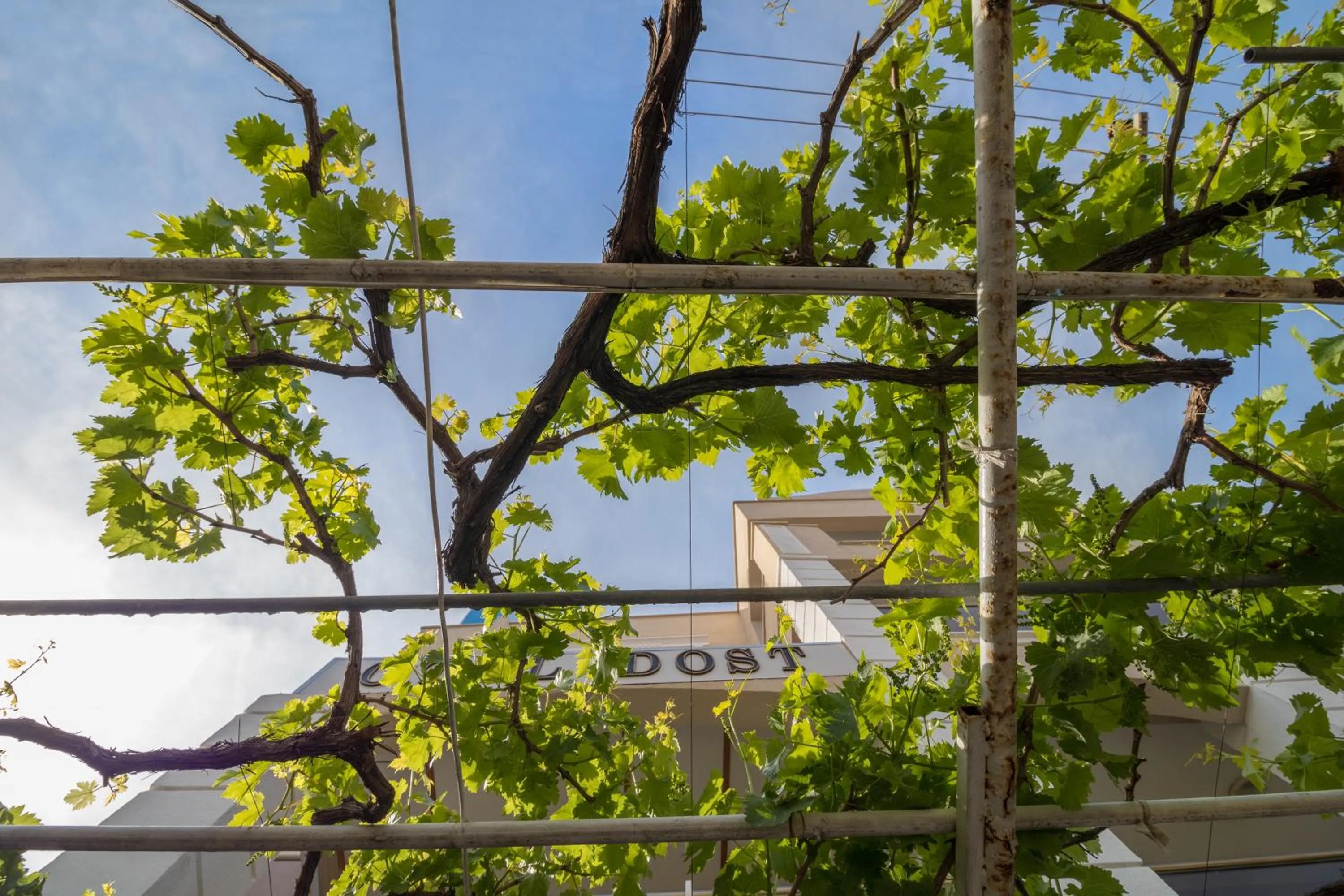 Garden in Hotel Dost