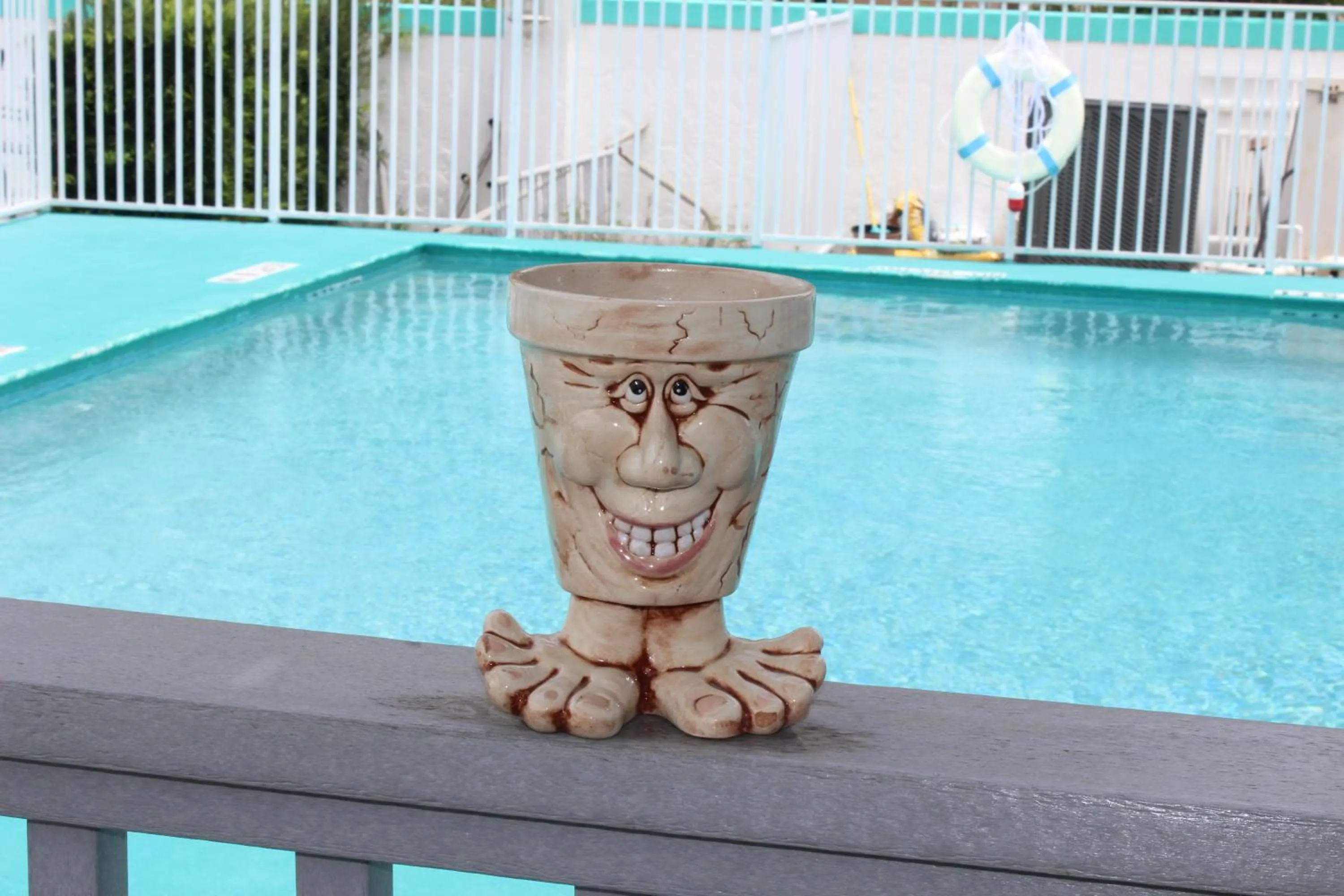 Pool view in The BoatHouse