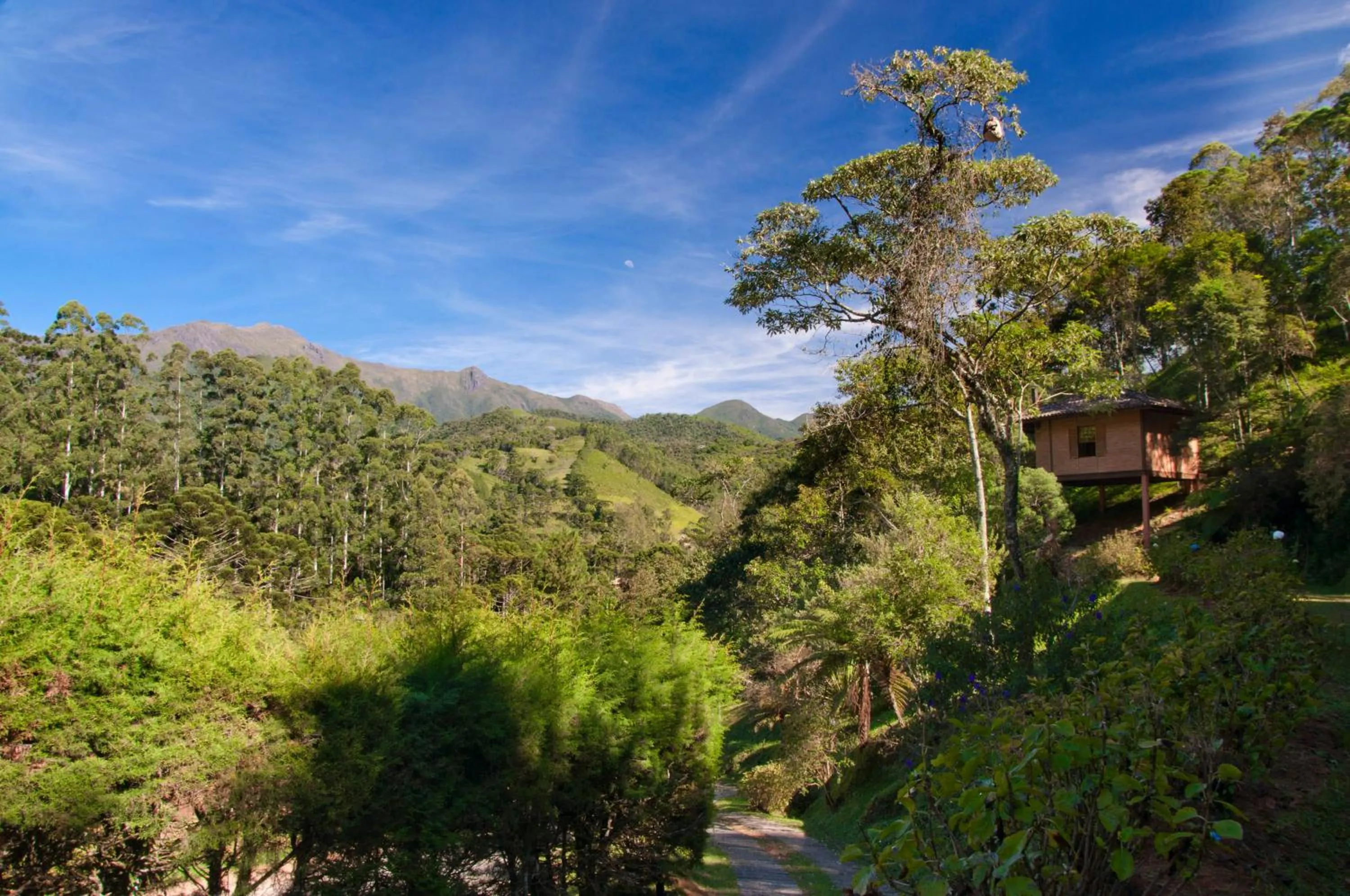 View (from property/room) in Pousada Tijupá