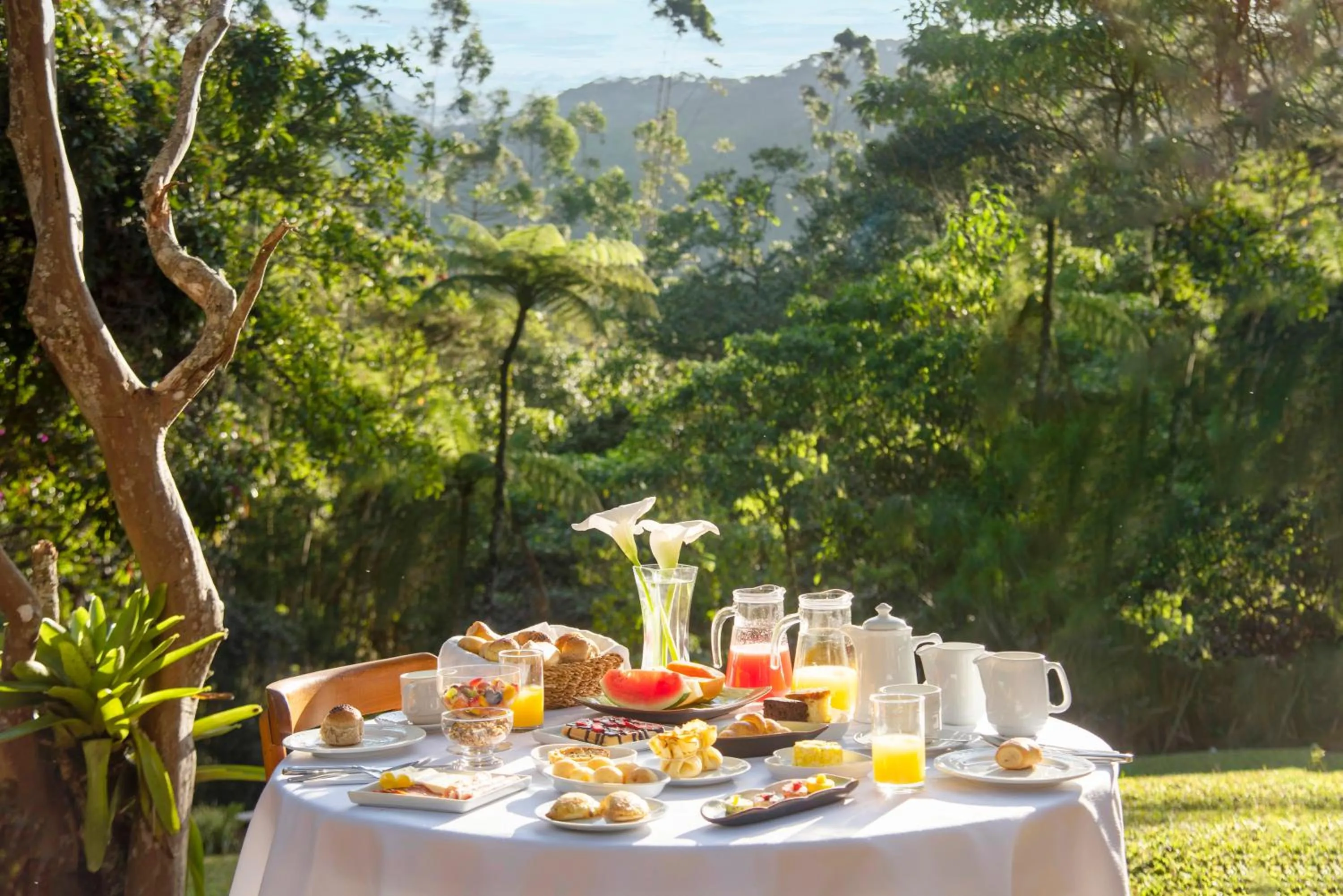 Breakfast in Pousada Tijupá
