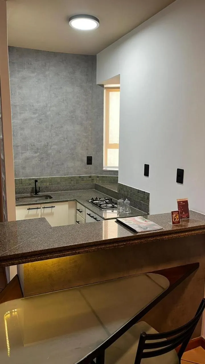 Kitchen or kitchenette in Differential Flat