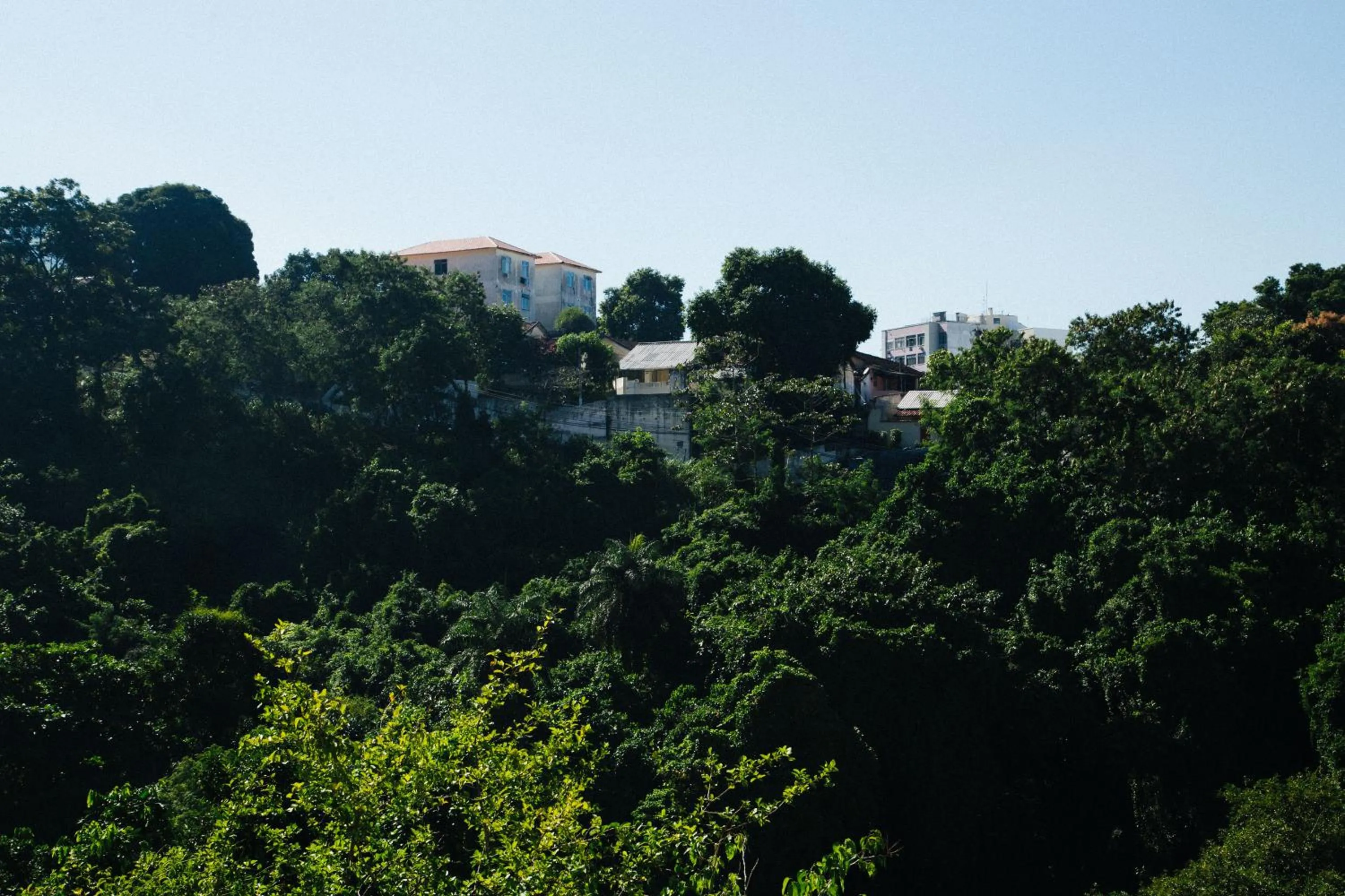 Garden view in CabanaCopa Hostel