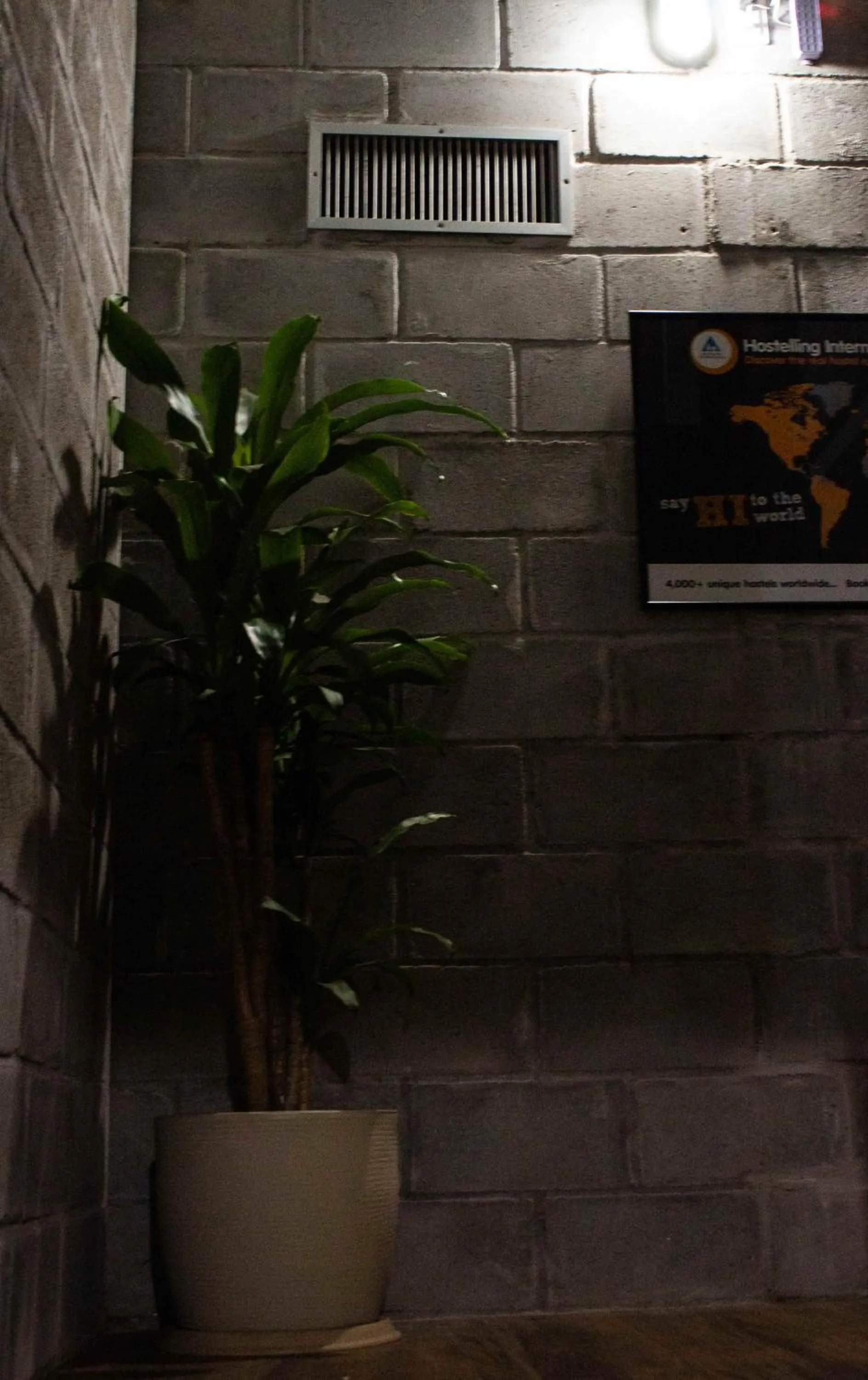 Property building in CabanaCopa Hostel