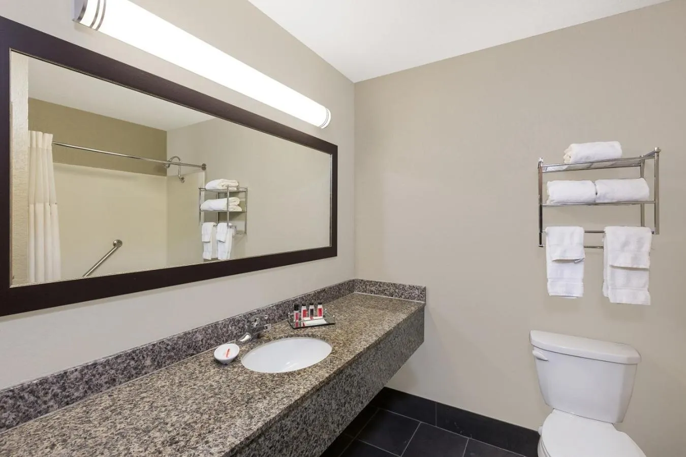 One-Bedroom Deluxe King Suite - Non-Smoking in Ramada by Wyndham Des Moines Airport