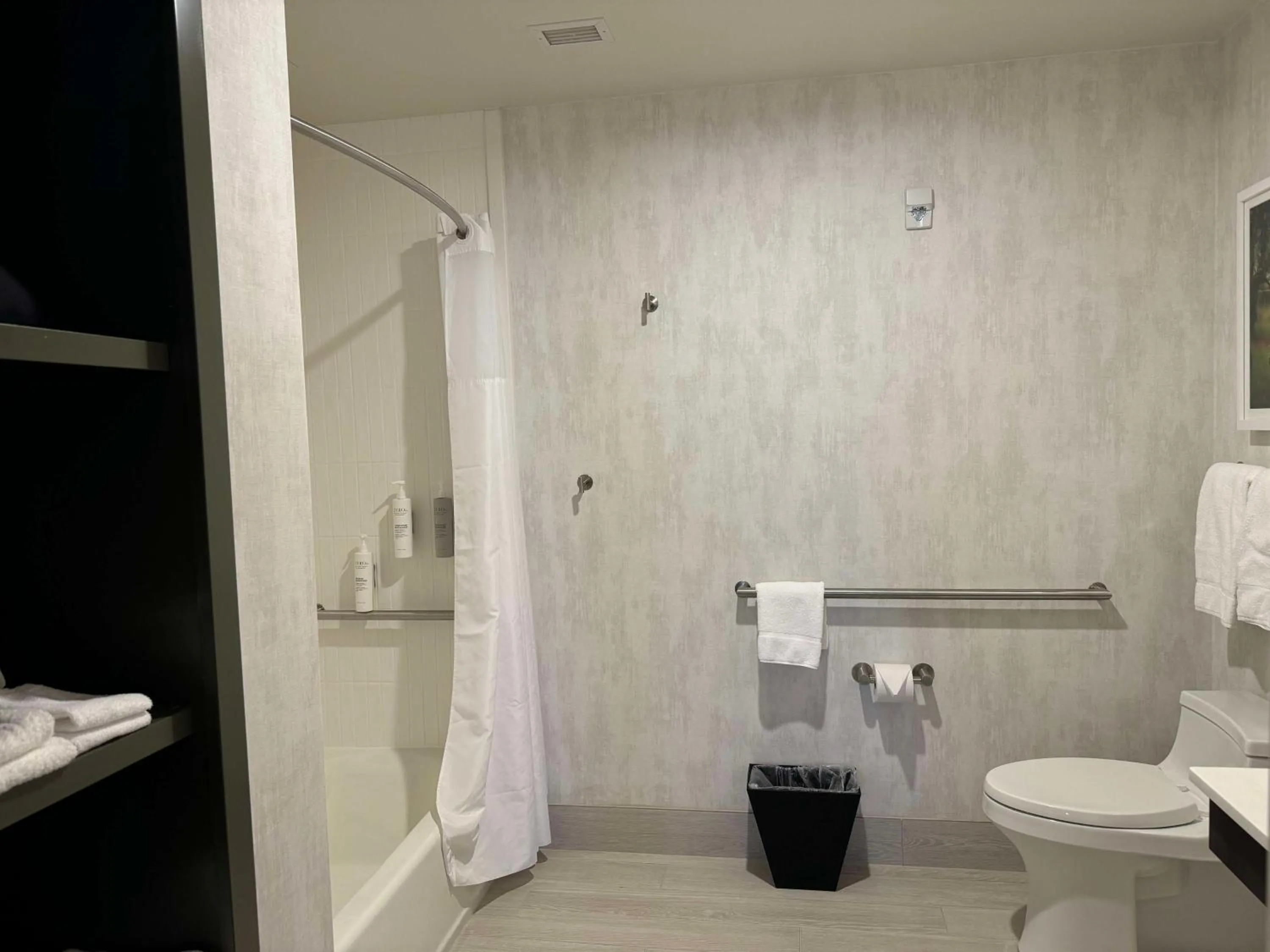 Bathroom in Hampton Inn & Suites Dobson