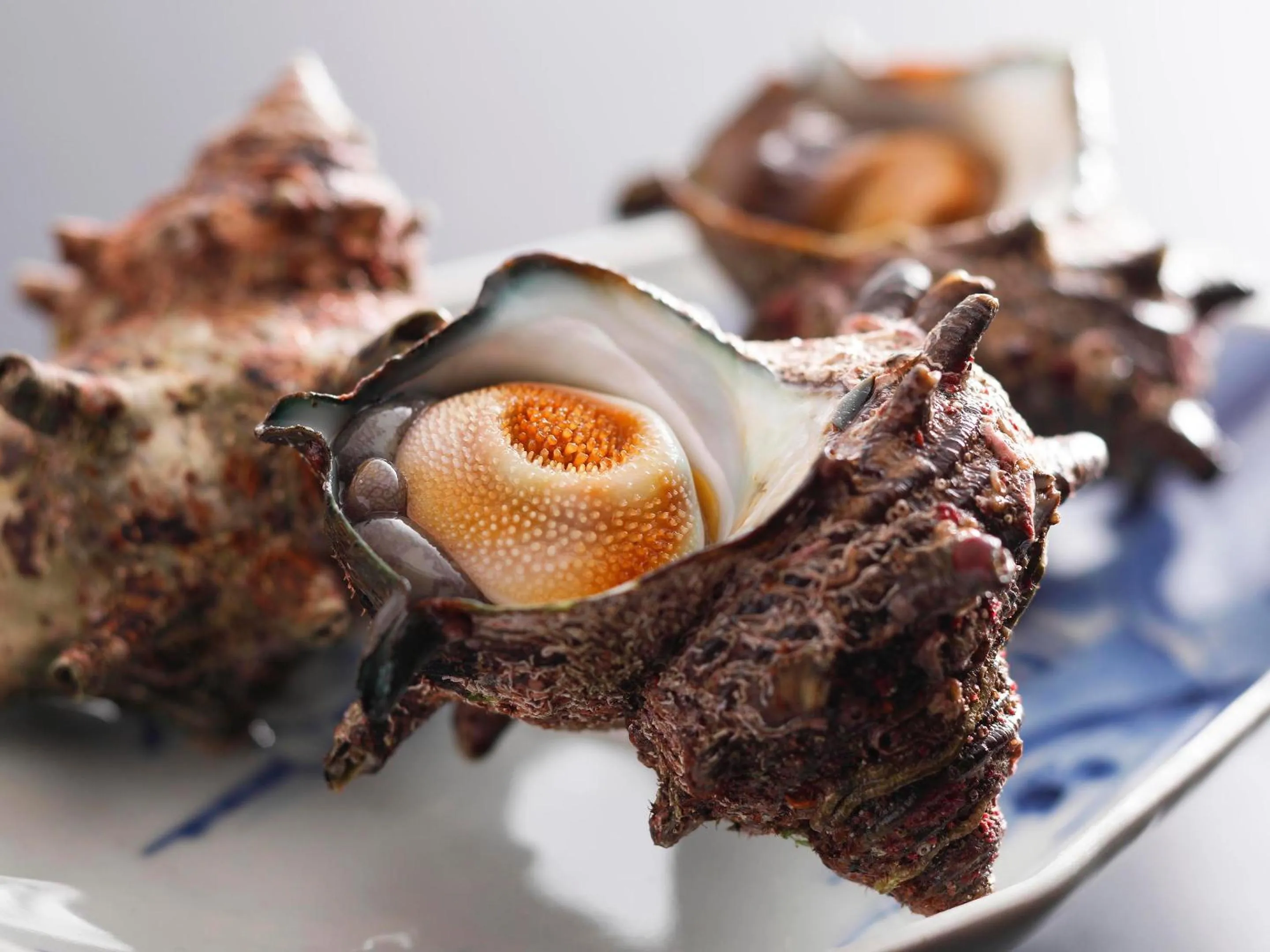 Dinner in Seikiro Ryokan Historical Museum Hotel